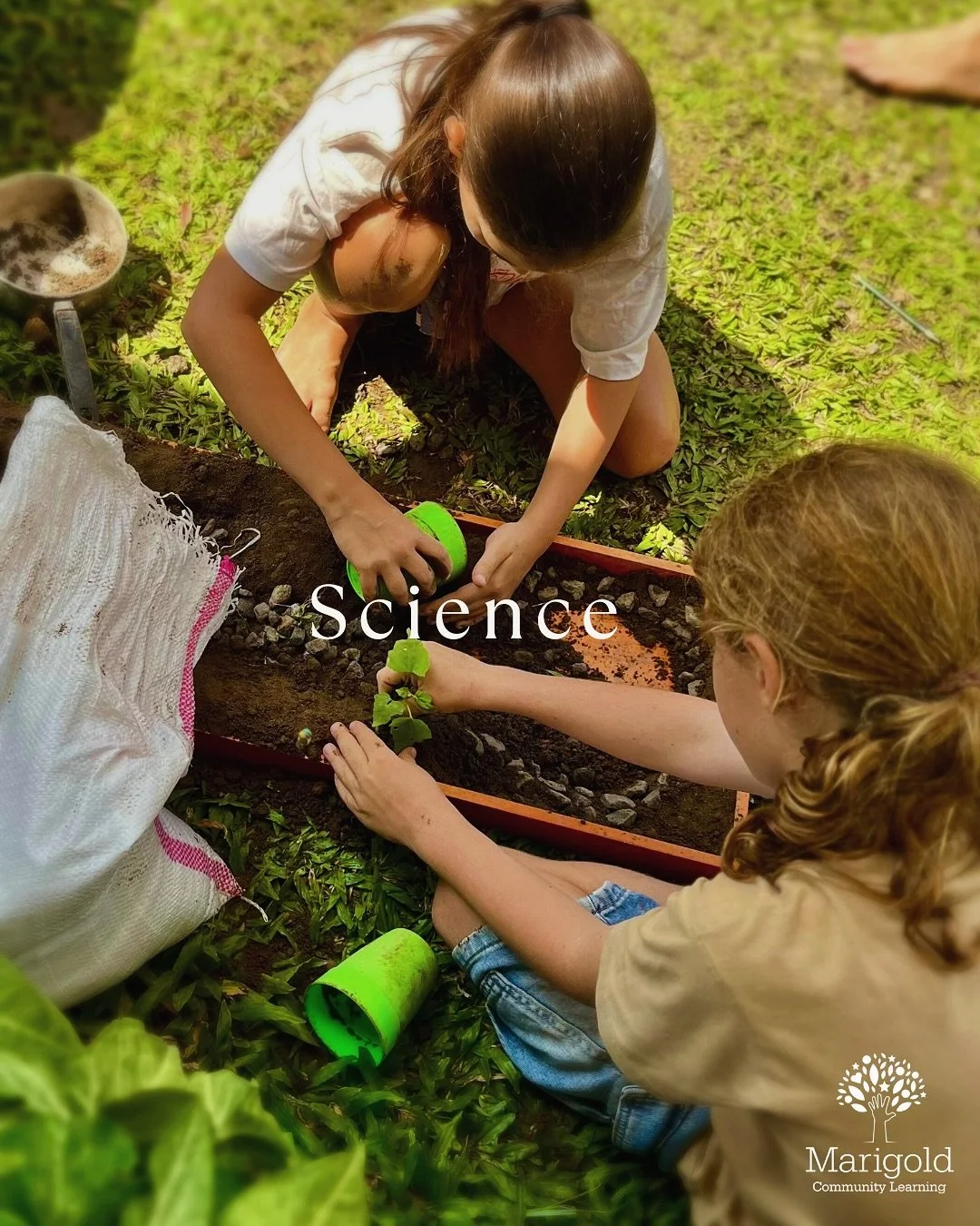 Check out our enthusiastic and deeply engaged students from Matahari &amp; Bulan, our Grade 5 and 6 science class. 

This week in science class, students learned about weathering, erosion and deposition through pictures, group case studies and a hand