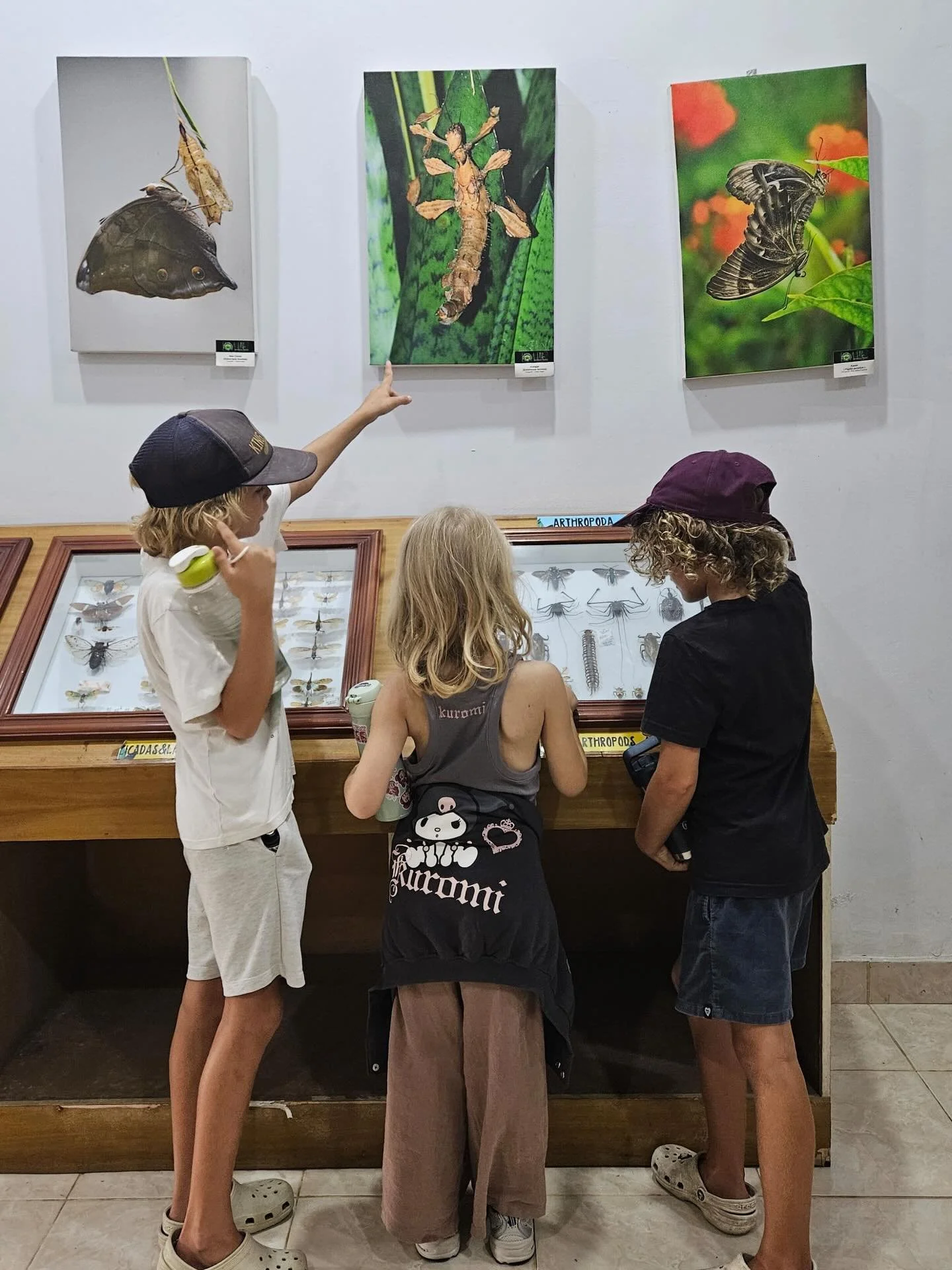 Butterfly park excursion🦋 

This week Udara - grade 2 explored the fascinating world of butterflies up close. They observed shiny, metallic looking chrysalises, identified butterfly body parts and discovered the different species fluttering around t