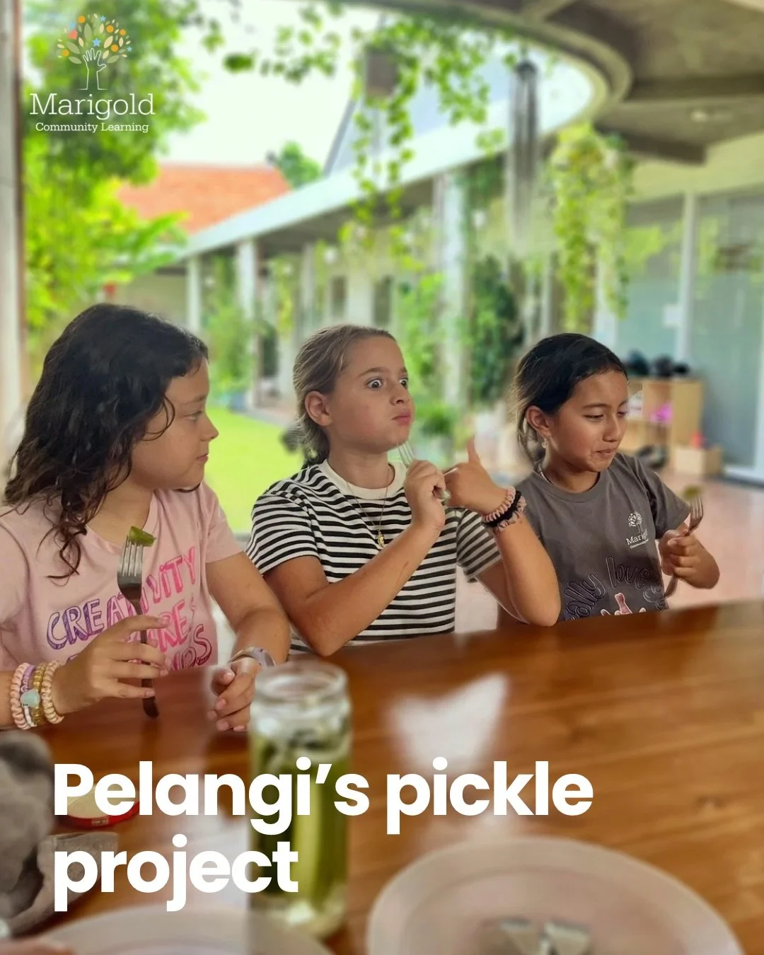 Pelangi&rsquo;s pickles project! 🥒

Last term, our Grade 3 and 4 class (Pelangi) showcased the true meaning of real-world learning through an exciting pickling project. 

They didn&rsquo;t just sit at desks, they actively engaged in the entire proce