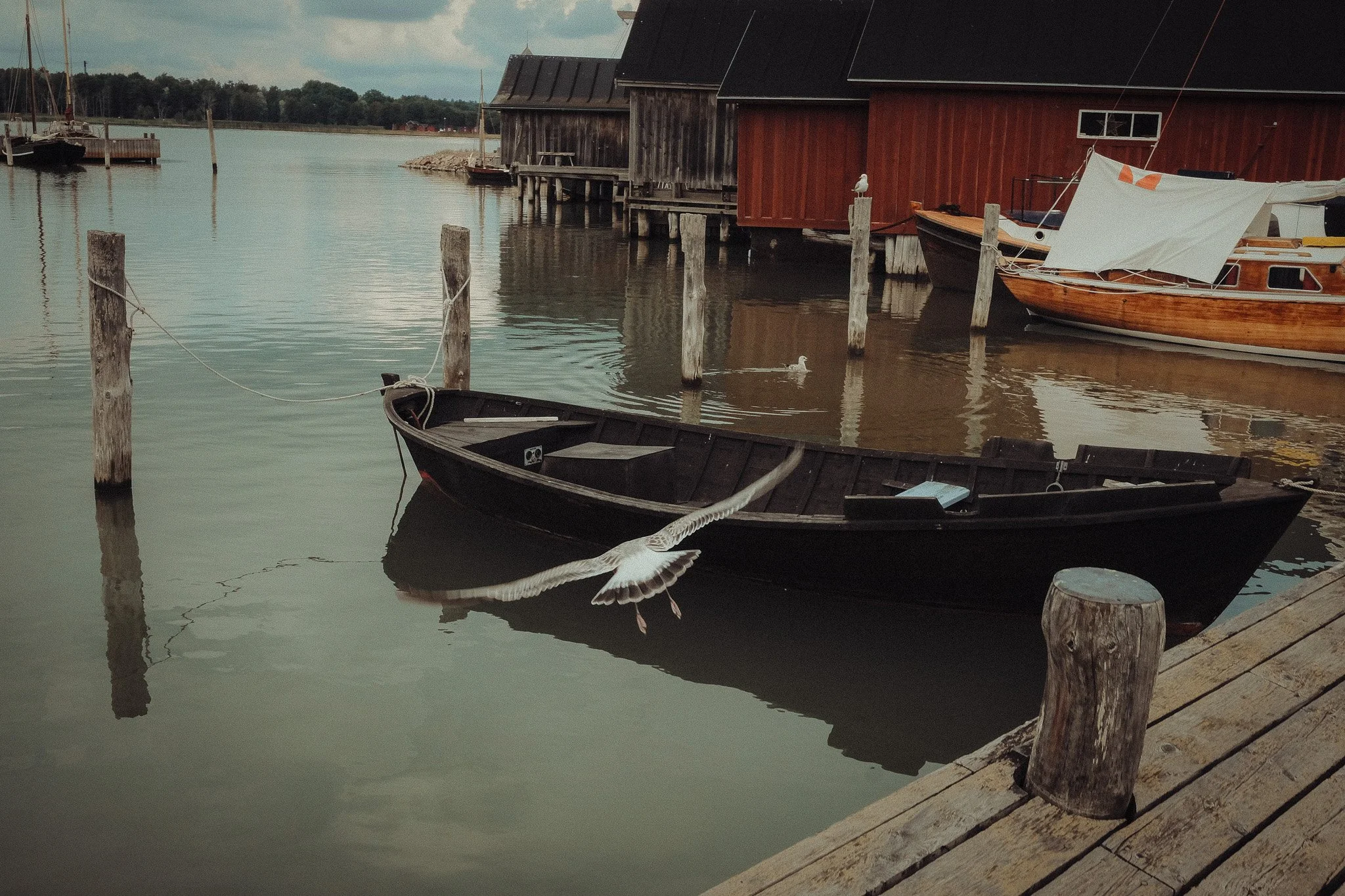 DSCF8555.jpg