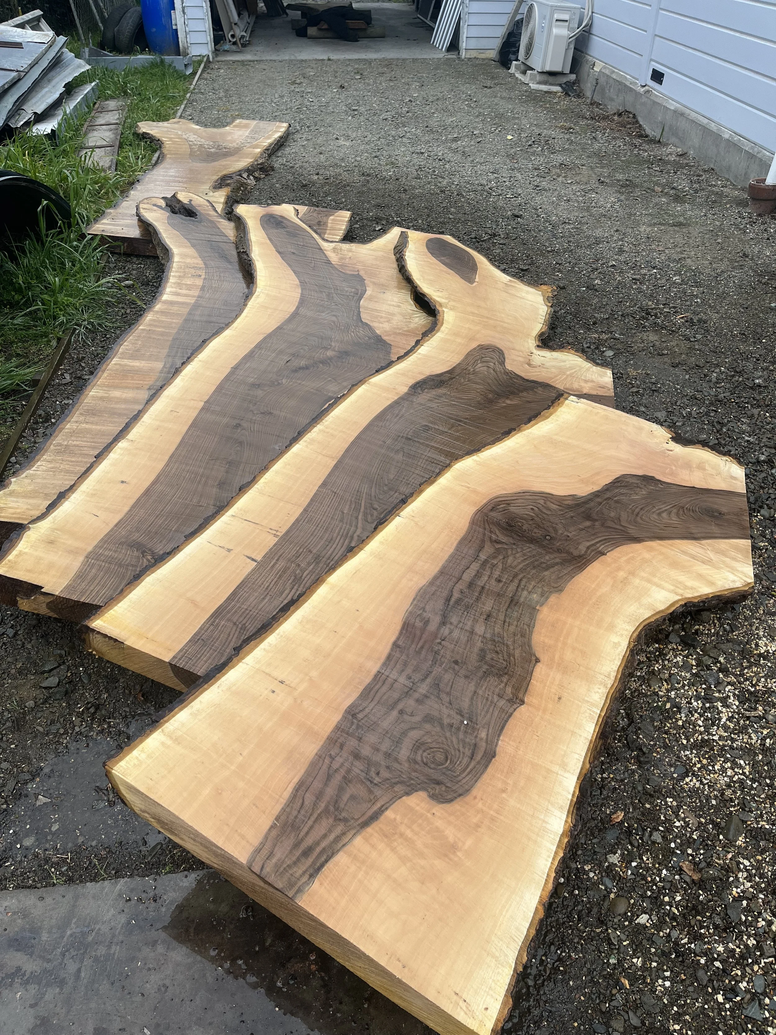Walnut slabs