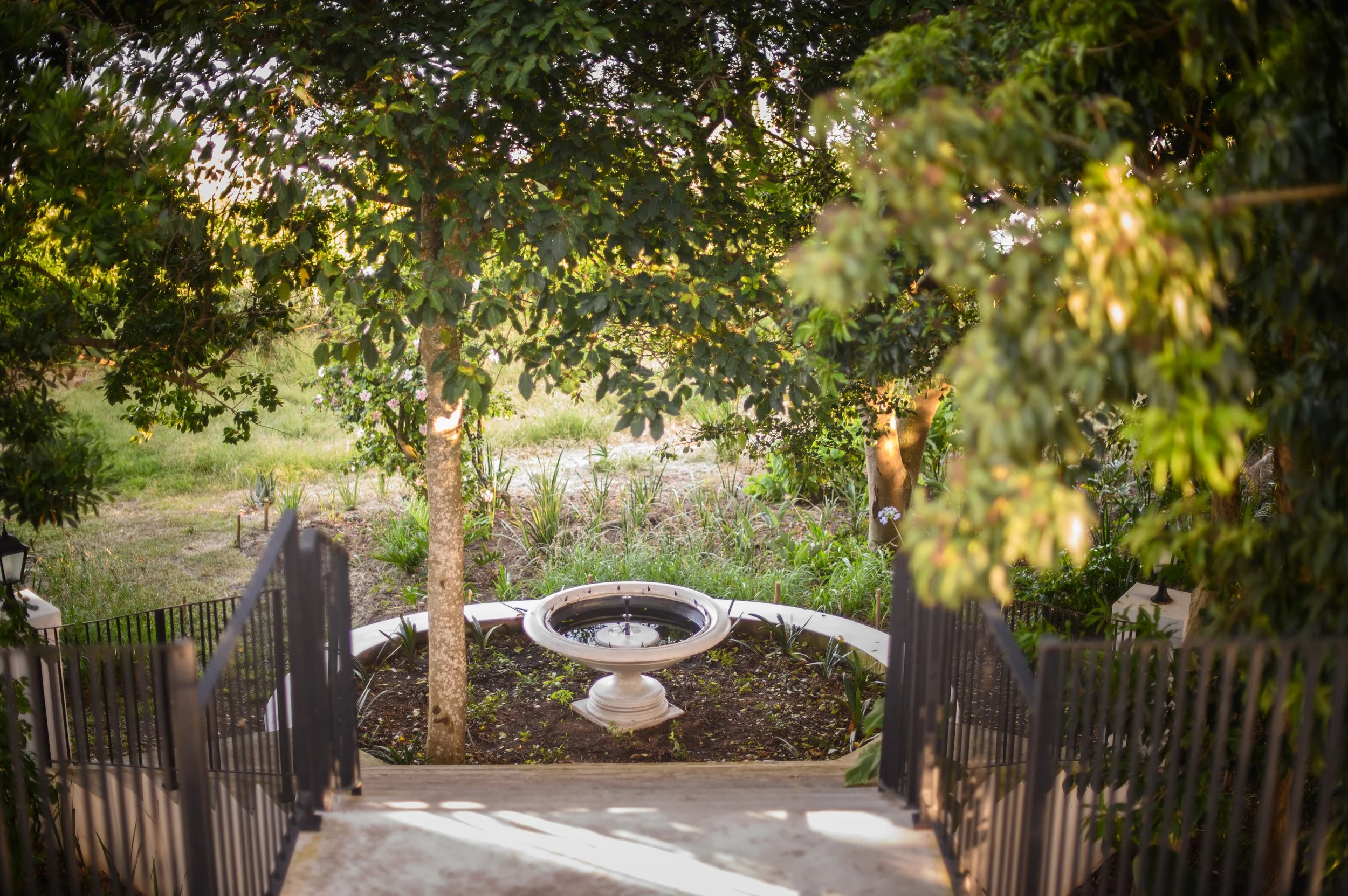 View of a garden with a small fountain in the center, surrounded by trees and plants, with sunlight filtering through the leaves.