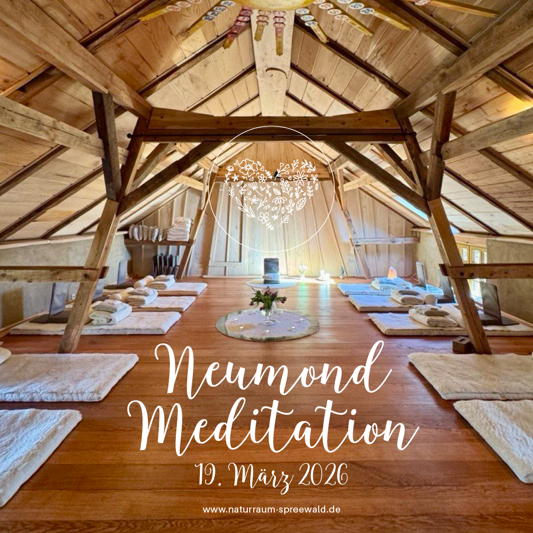 19. März 2026 | Neumond Meditation mit Katharina Hildebrand