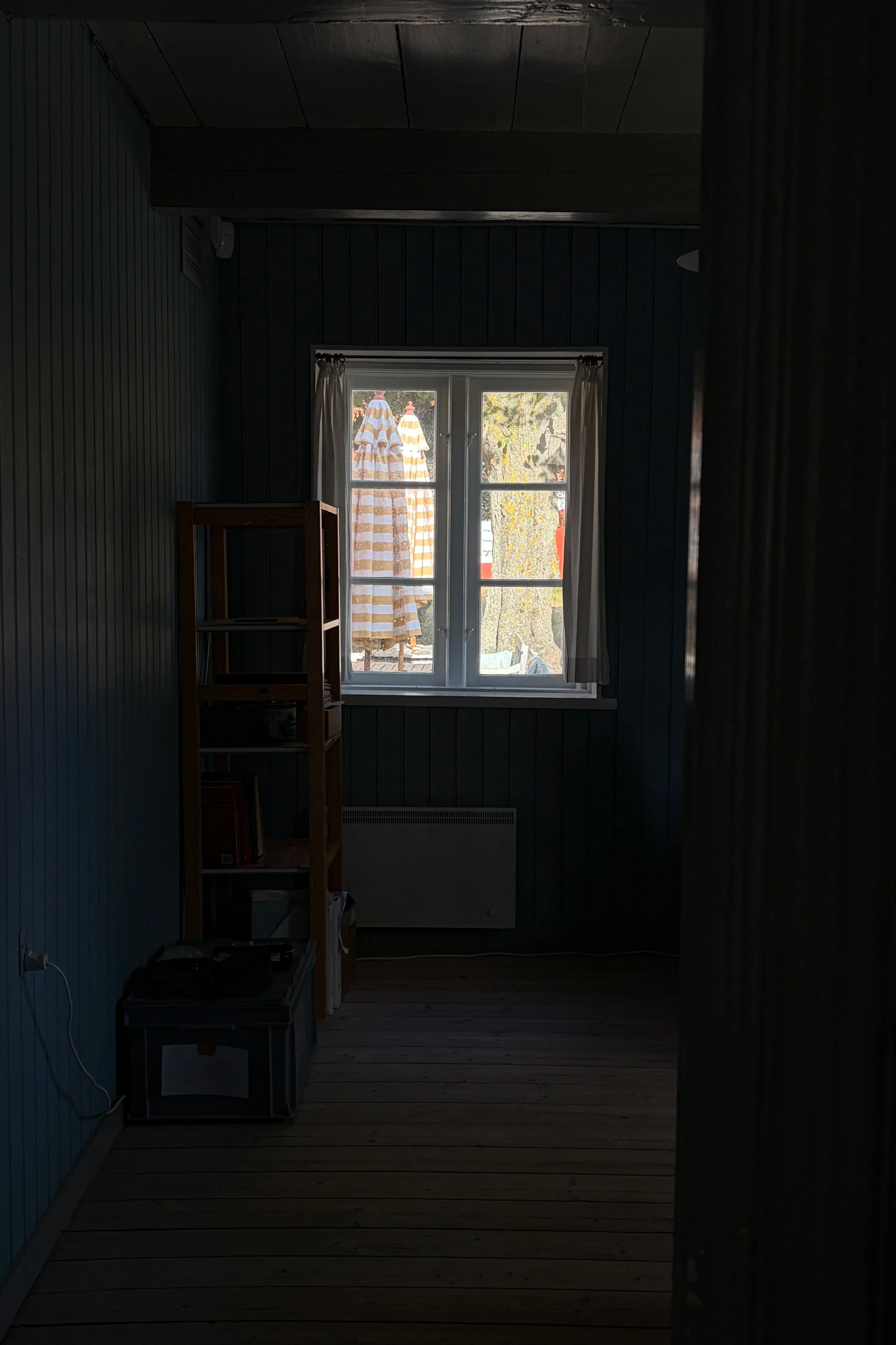 IMG_2539.png