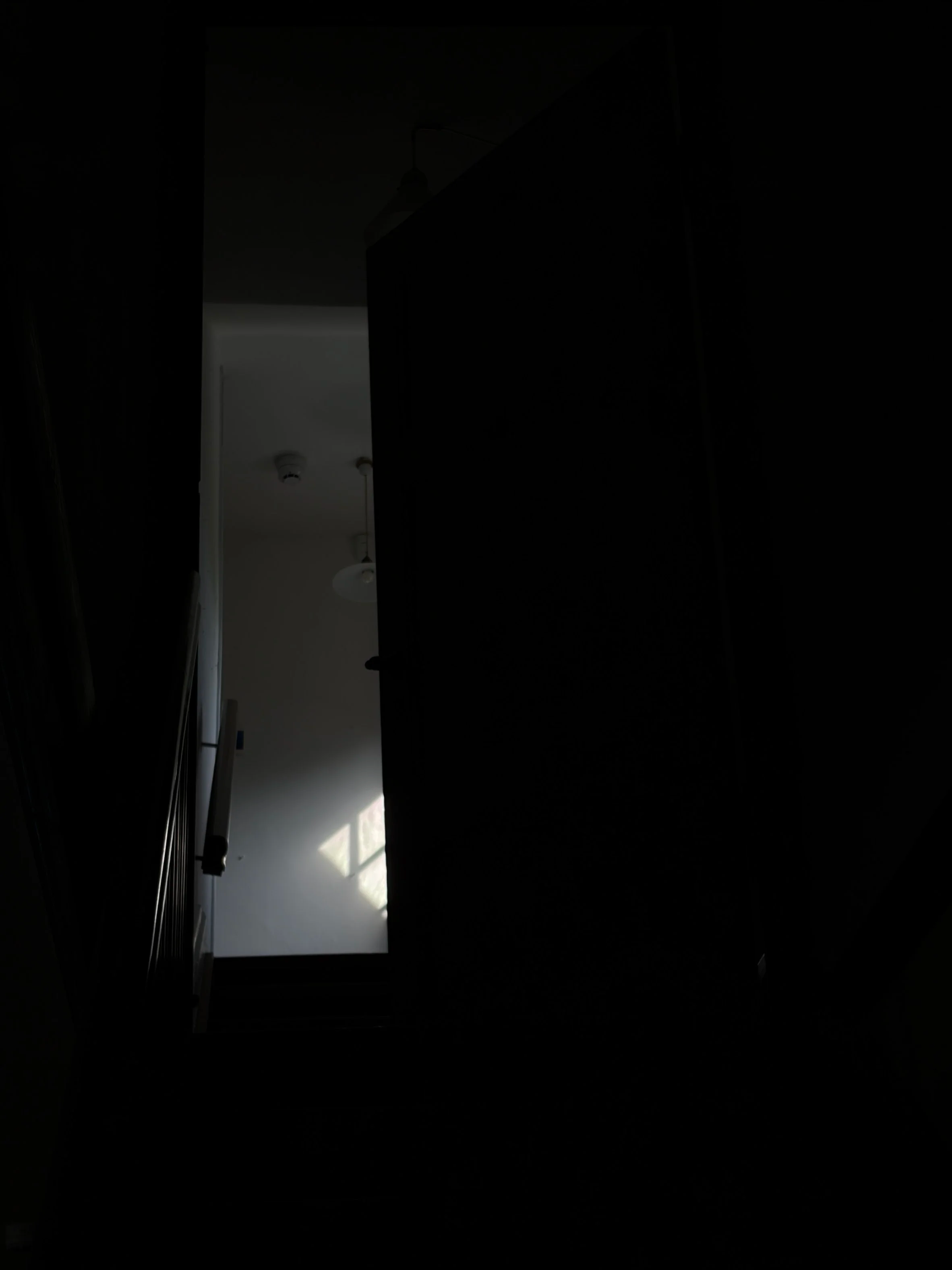 IMG_2449.png