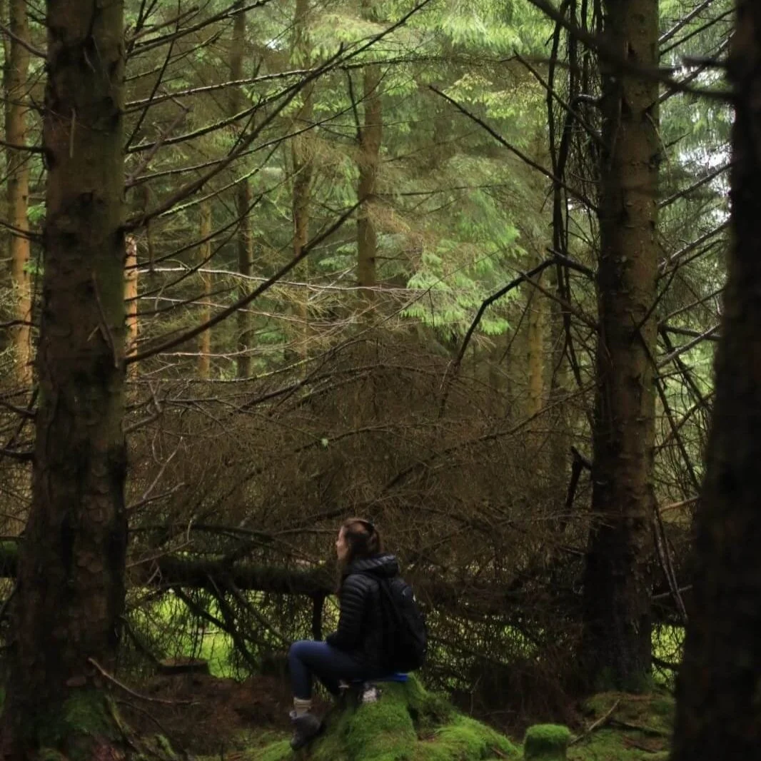 dr-forest-img-1.jpg