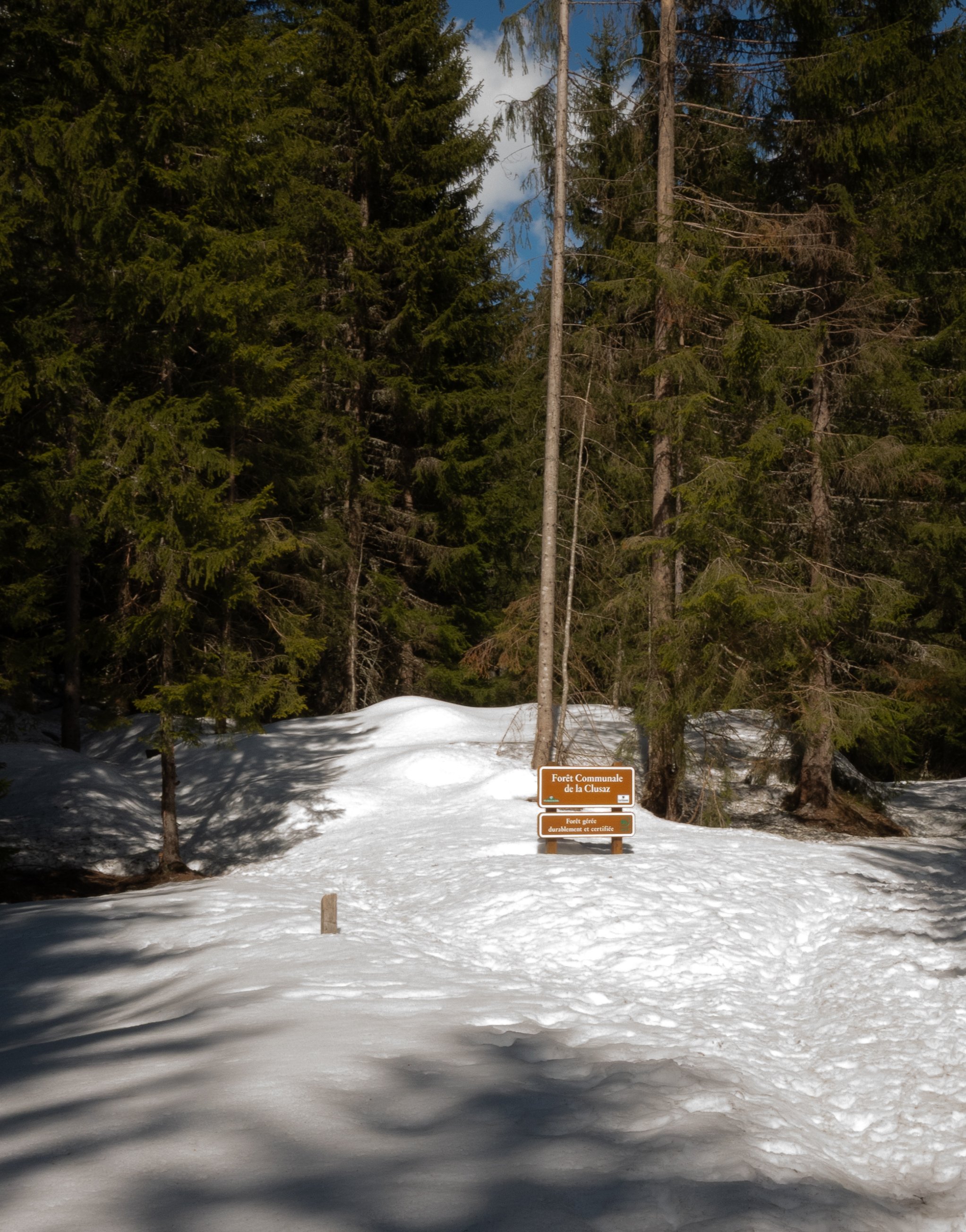 DSC_5365.jpg