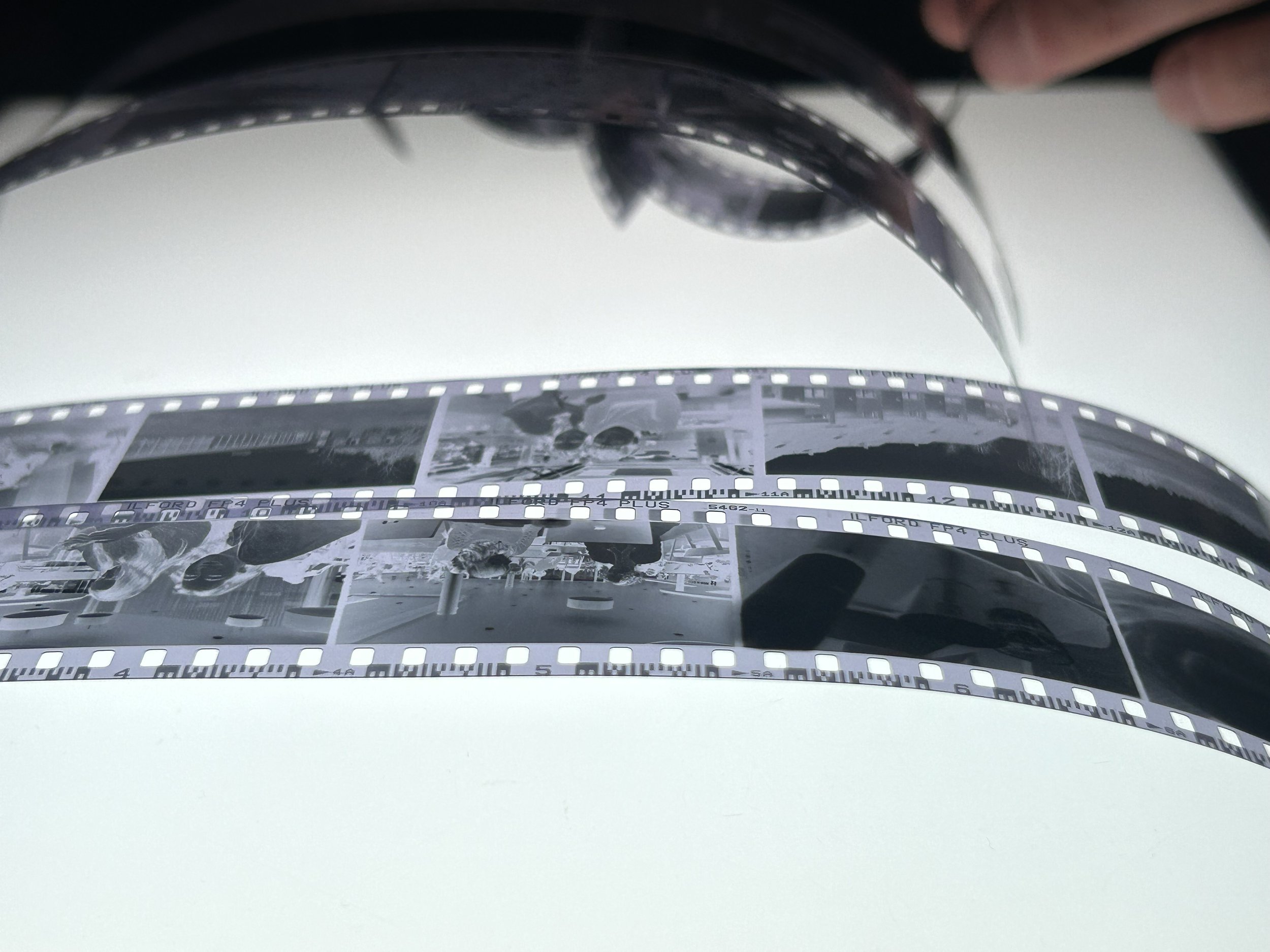 Film development masterclass