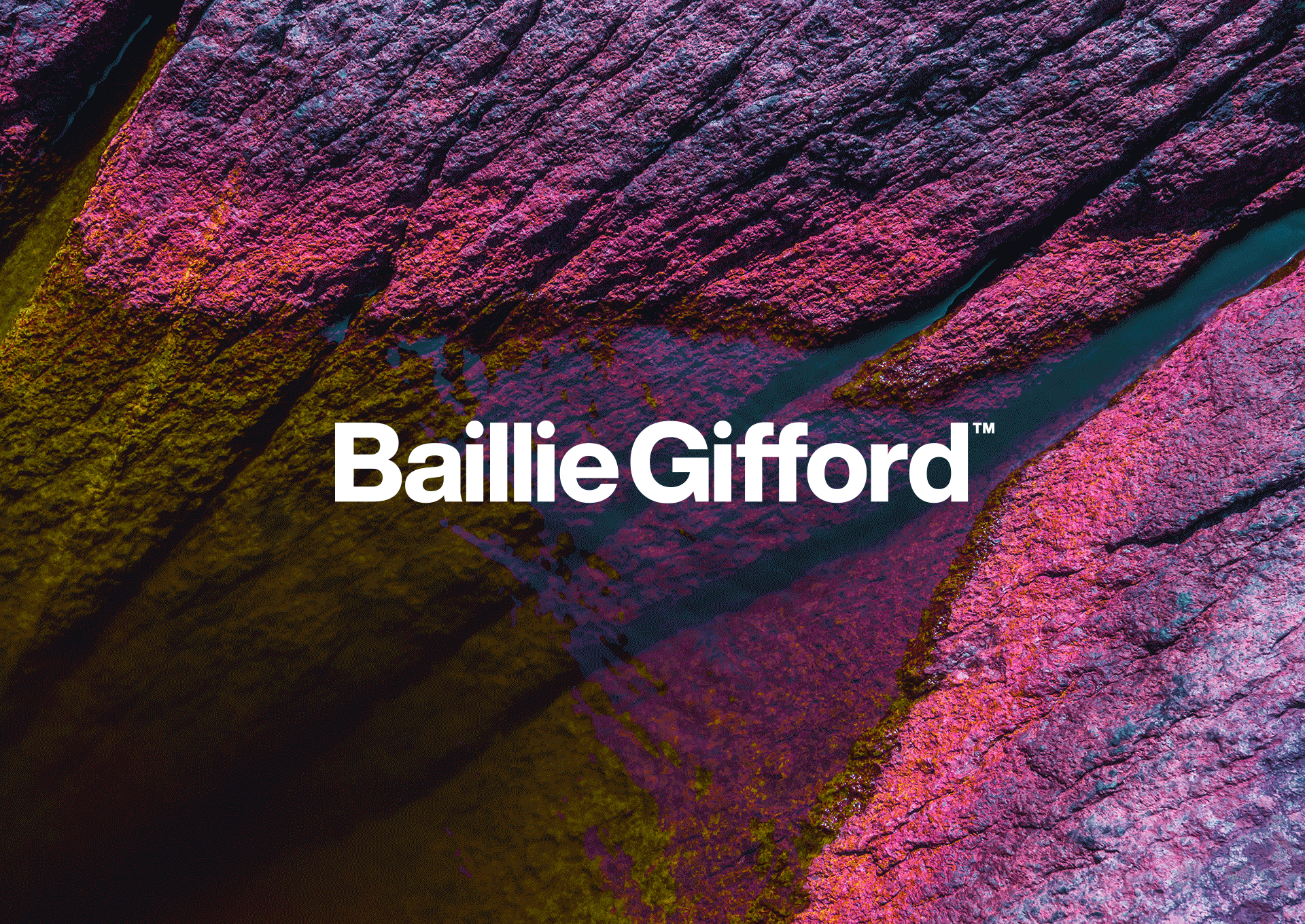 Animation Rebrand.gif