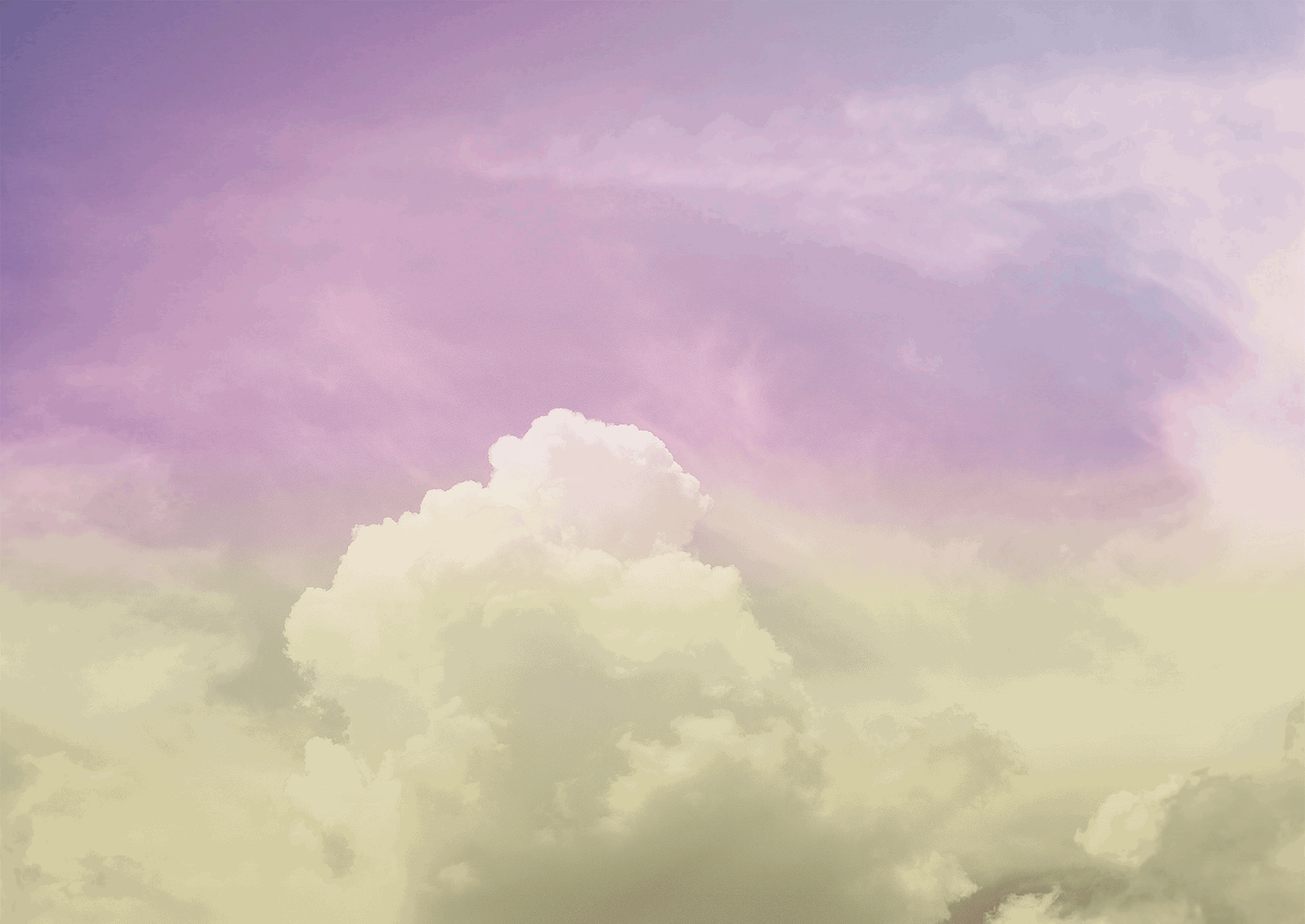 Animation1.gif