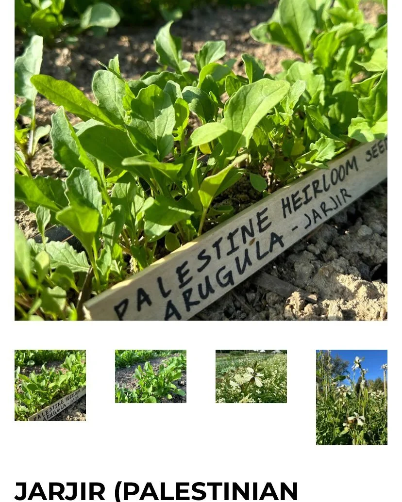 Plants and seeds are important - as shown, perversely, by Is raeI&rsquo;s recent destruction of the last remaining seed bank in Pa/estine - the  seed‑multiplication unit of the Union of Agricultural Work Committees @uawcpal. Destroy a culture&rsquo;s