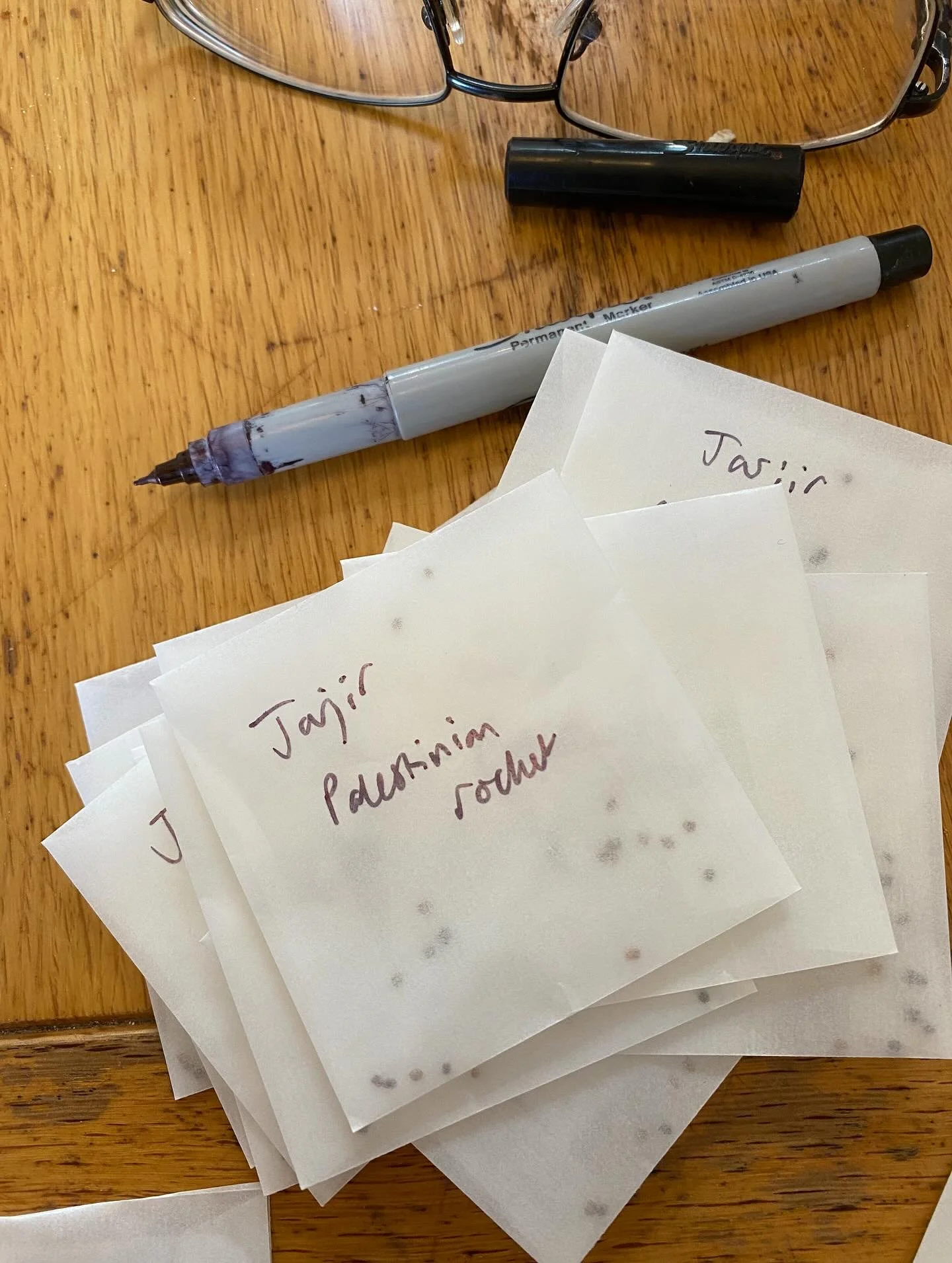 Looking forwards to selling these Palestinian rocket seeds, in aid of @moh.3ro and @_allourrelations, at the @arnold_circus plant fair next weekend. 

I&rsquo;ll be selling lots of other beautiful plants too but bringing these Palestinian seeds, tiny