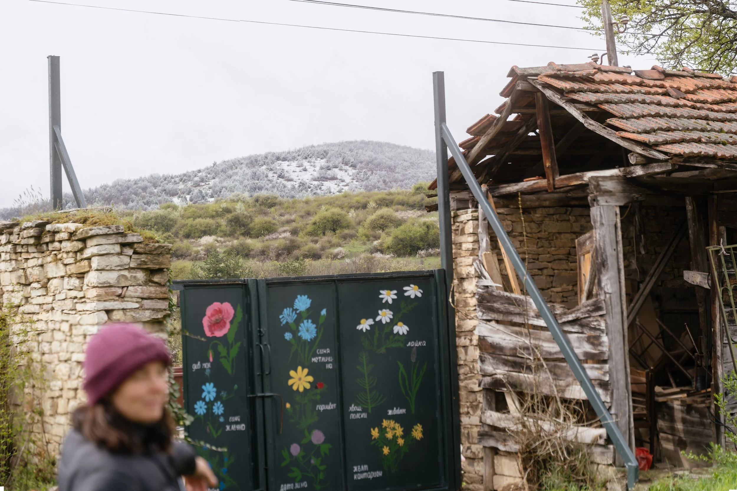 _LKR1377 fullres.jpg