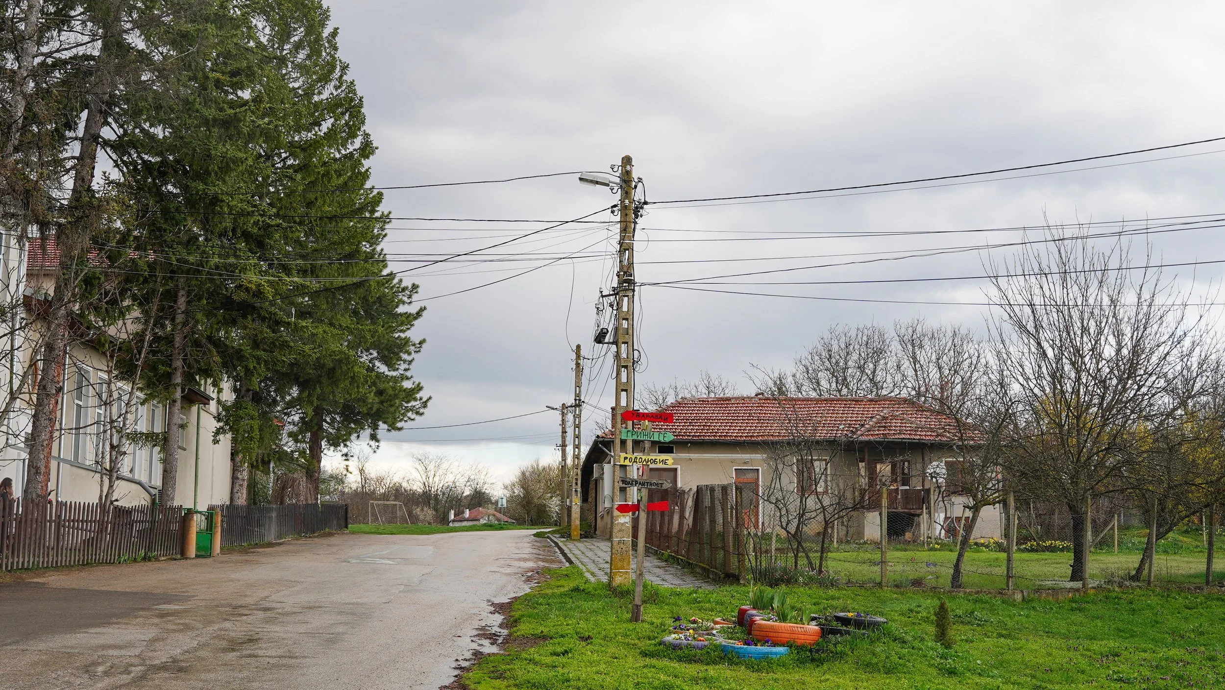 Ветринци-2026-03-28_Теди_013.jpg