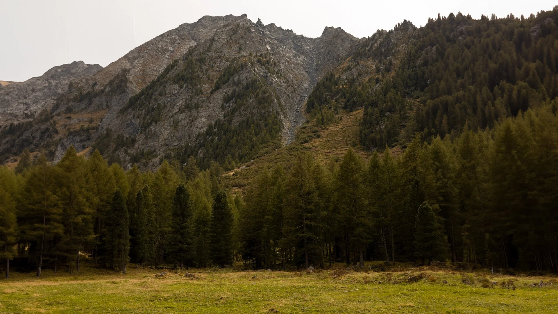 LF_16.9 LAYOUT_ALPINE_14B.jpg