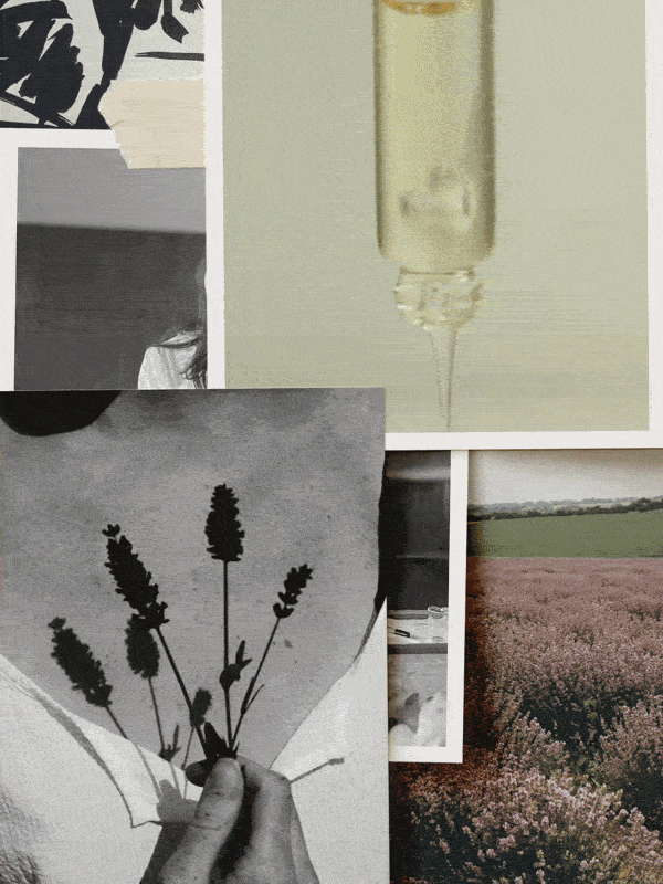 MAP_Scrapbook02-26-ezgif.com-optimize.gif