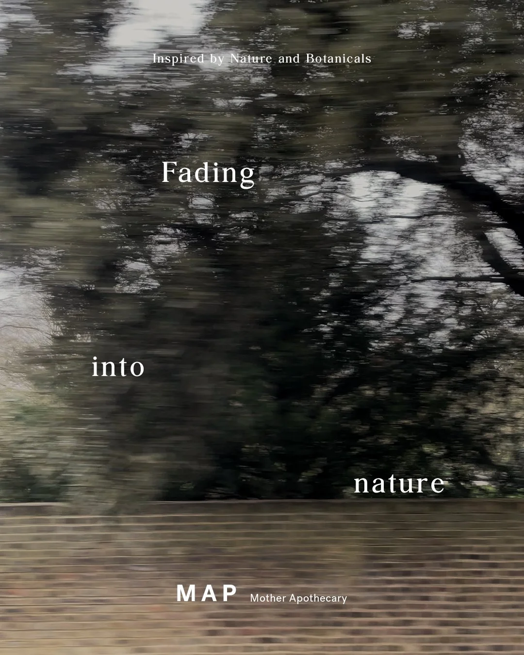 01_4.5_LAYOUT_2.6.jpg