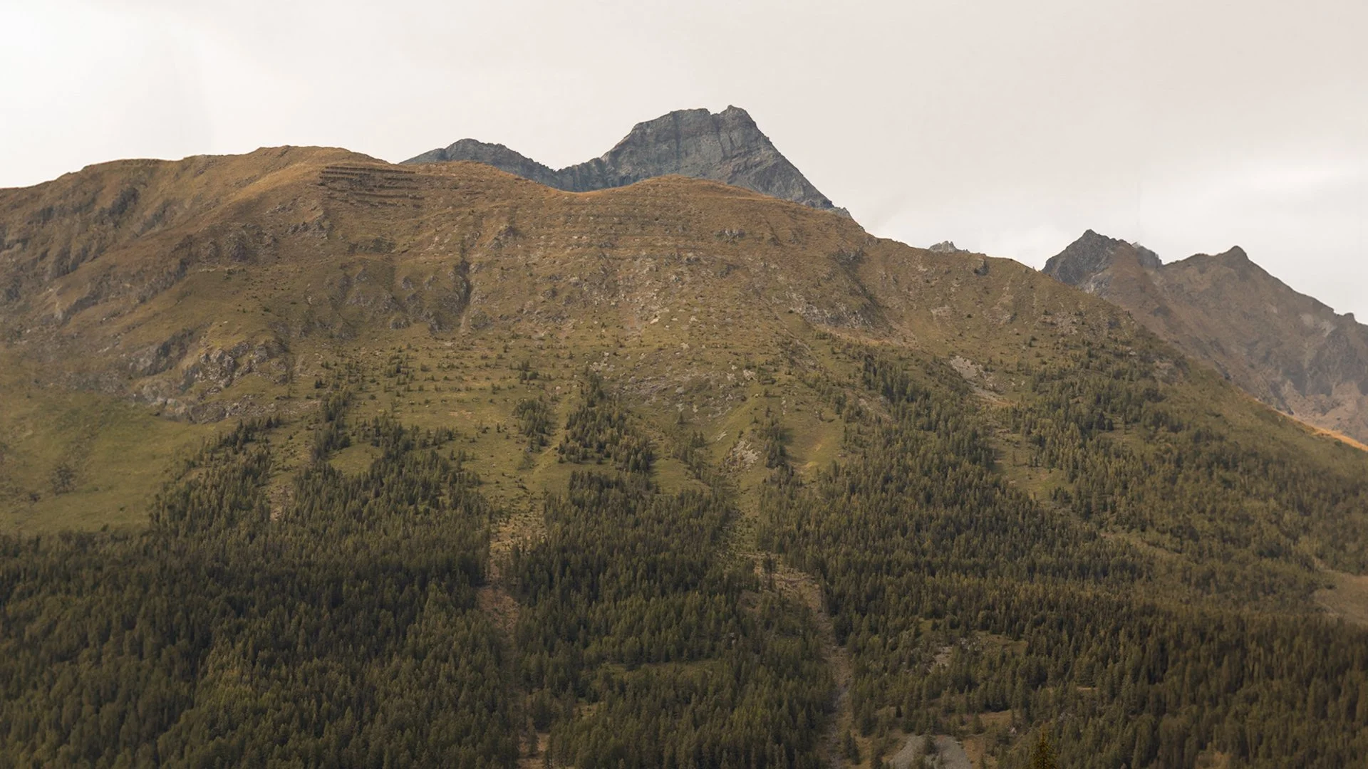 LF_16.9 LAYOUT_ALPINE_13B.jpg