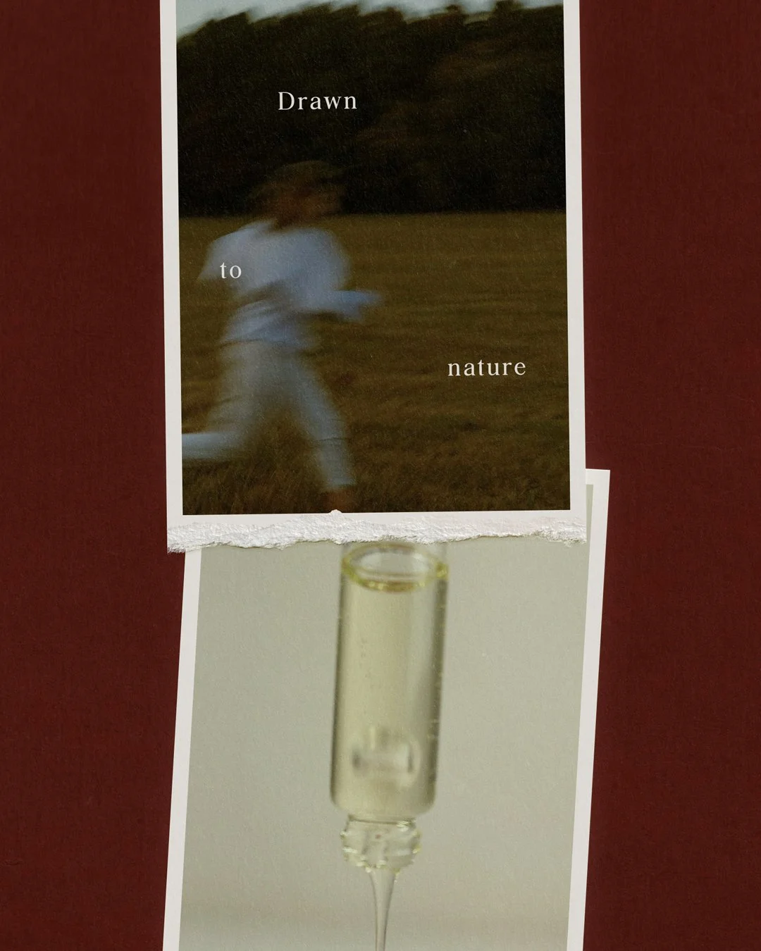 02_4.5_LAYOUT_1.1.jpg