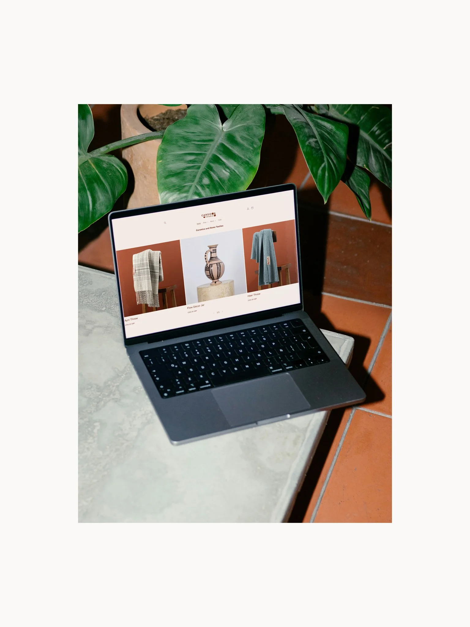 CARDOON_4.3 EDITORIAL_1.11.jpg