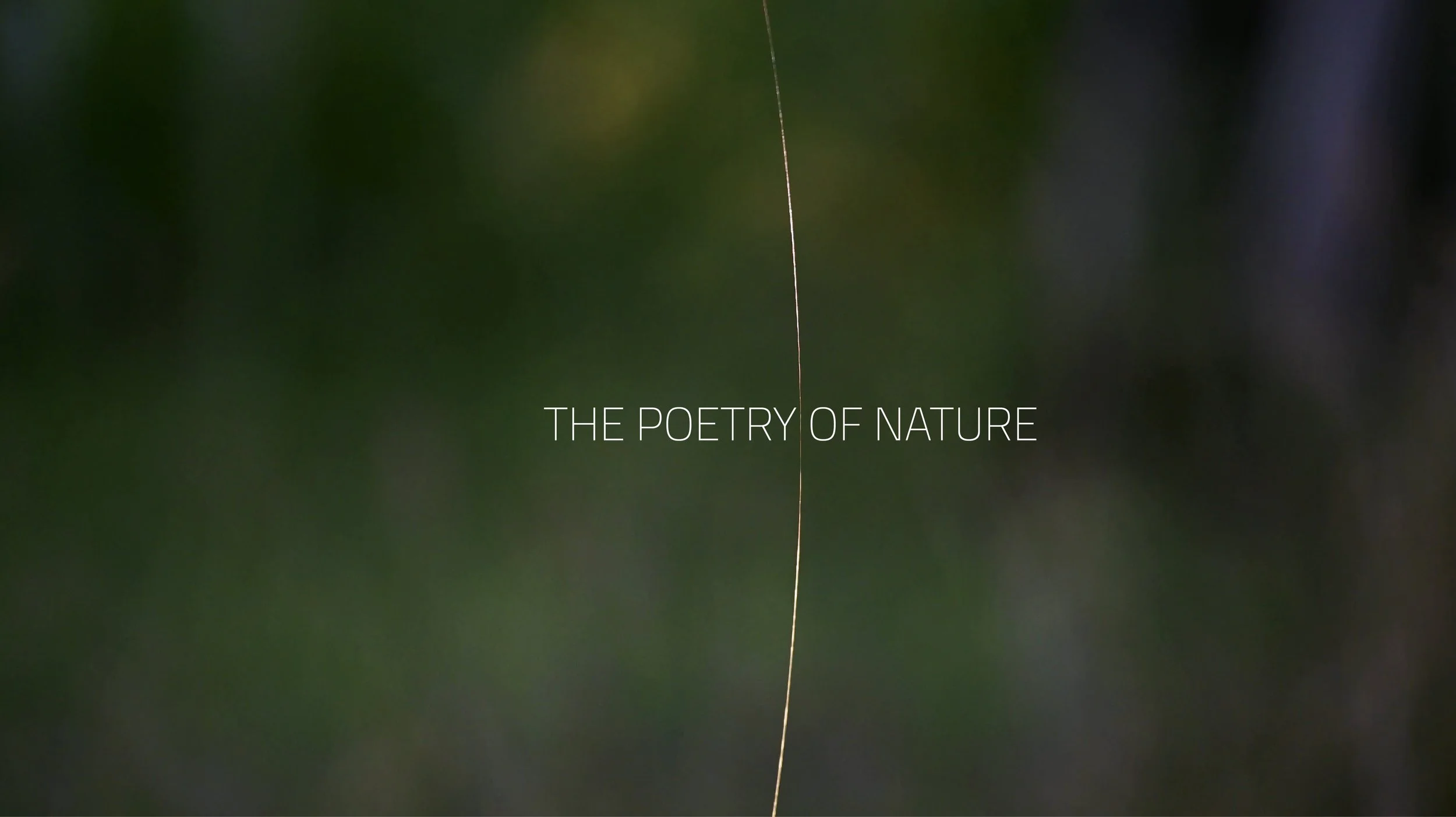 THREATS OF SILVER AND GOLD