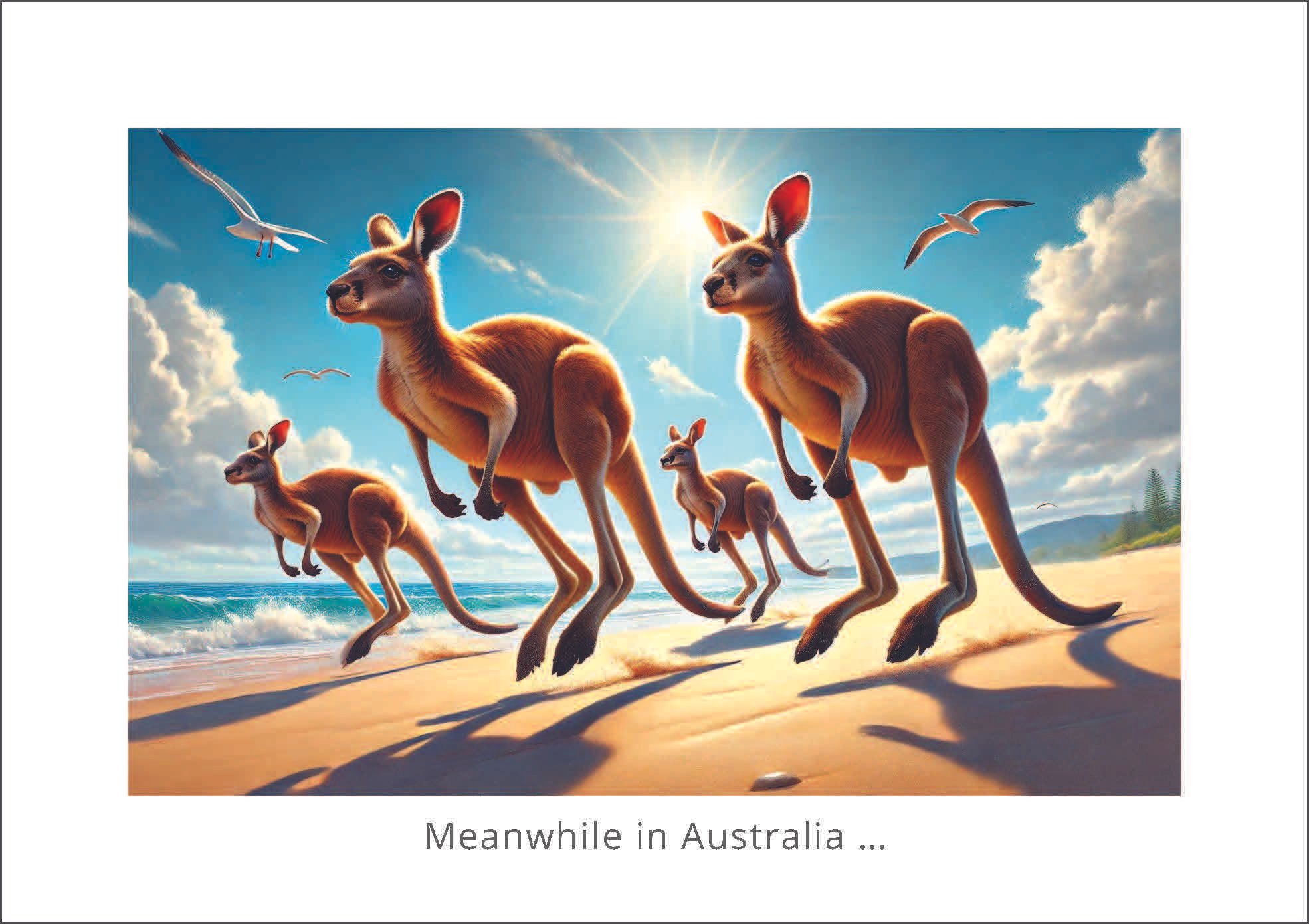 #P182 (Recreation) | Set of 25 Postcards