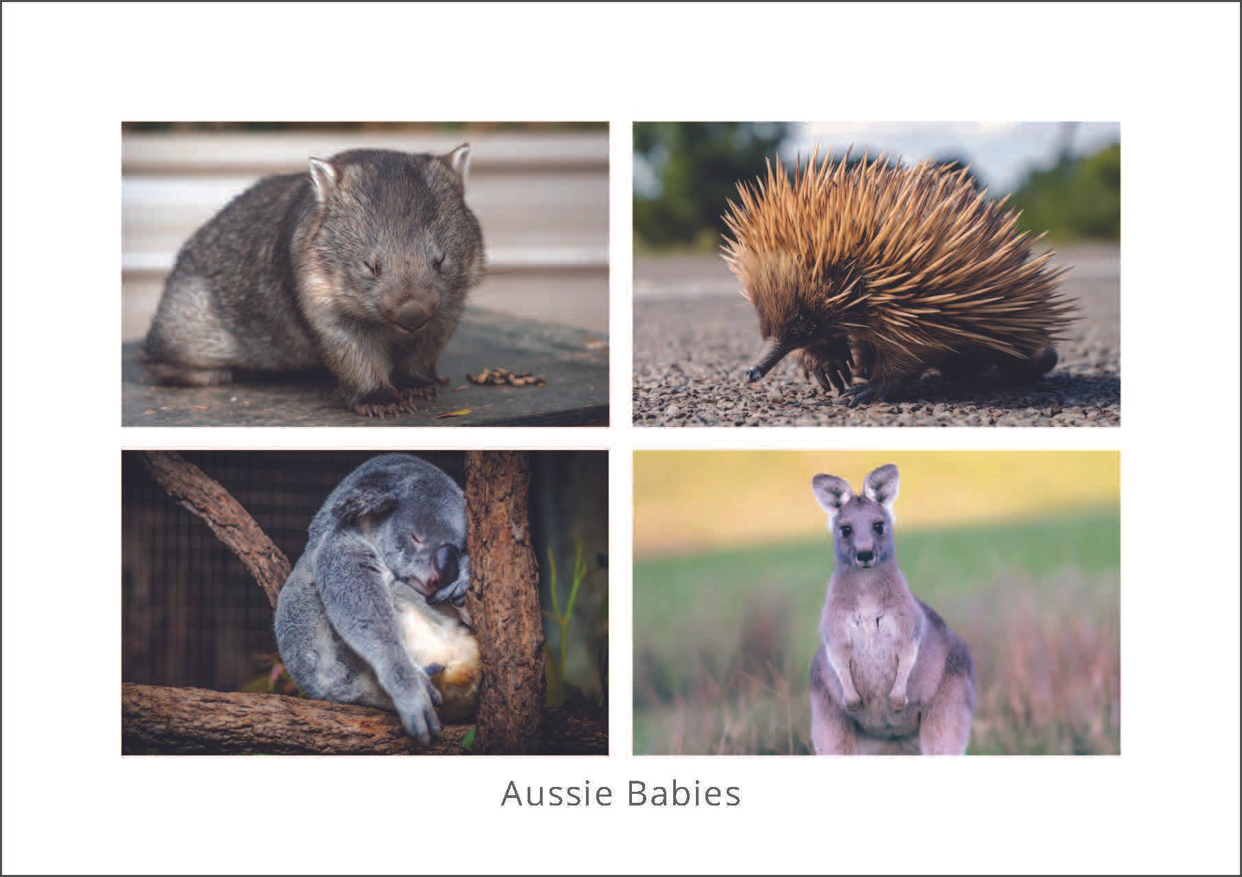 #P212 (Goodness) | Set of 25 Postcards