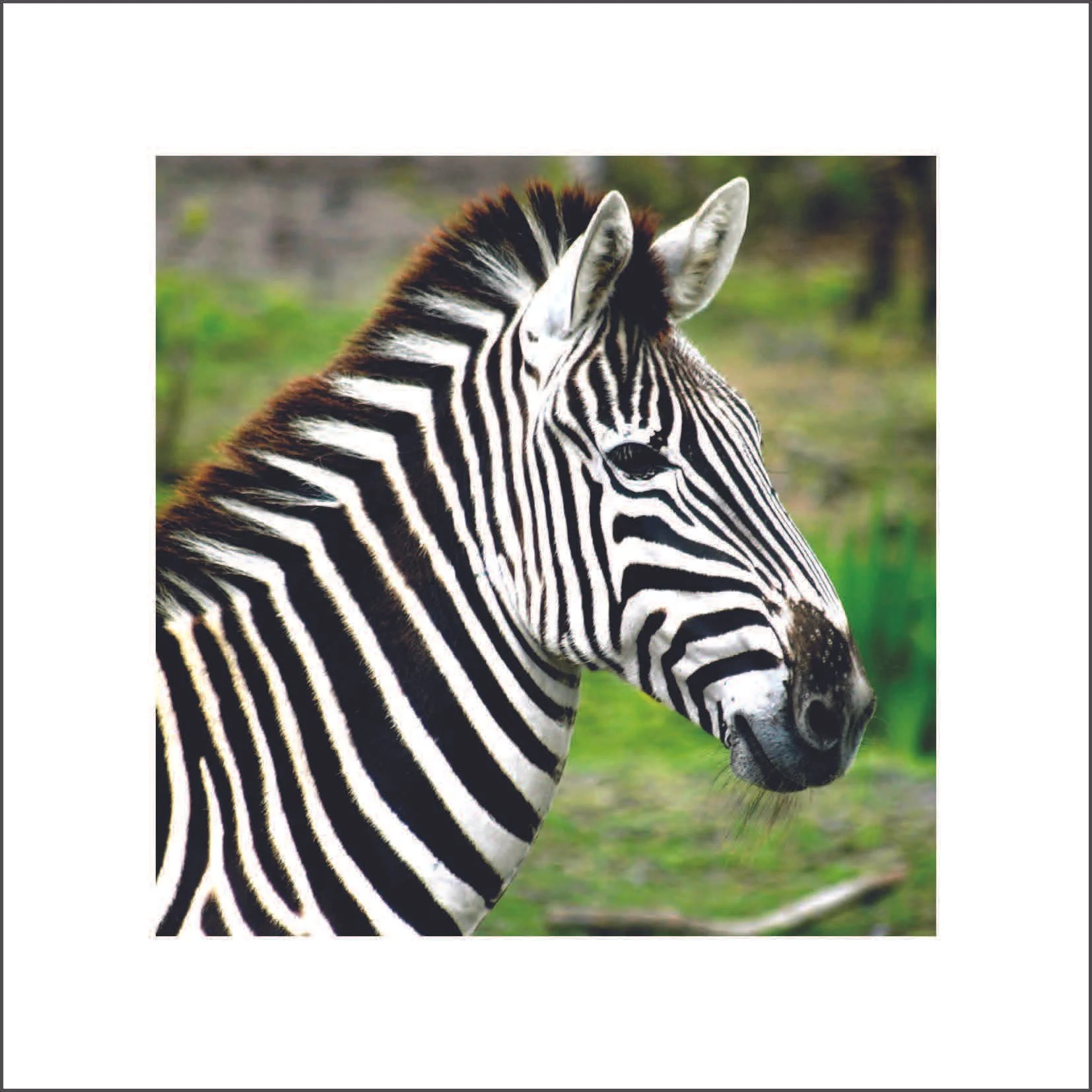 #265 (Individuality) | Set of 6 Cards