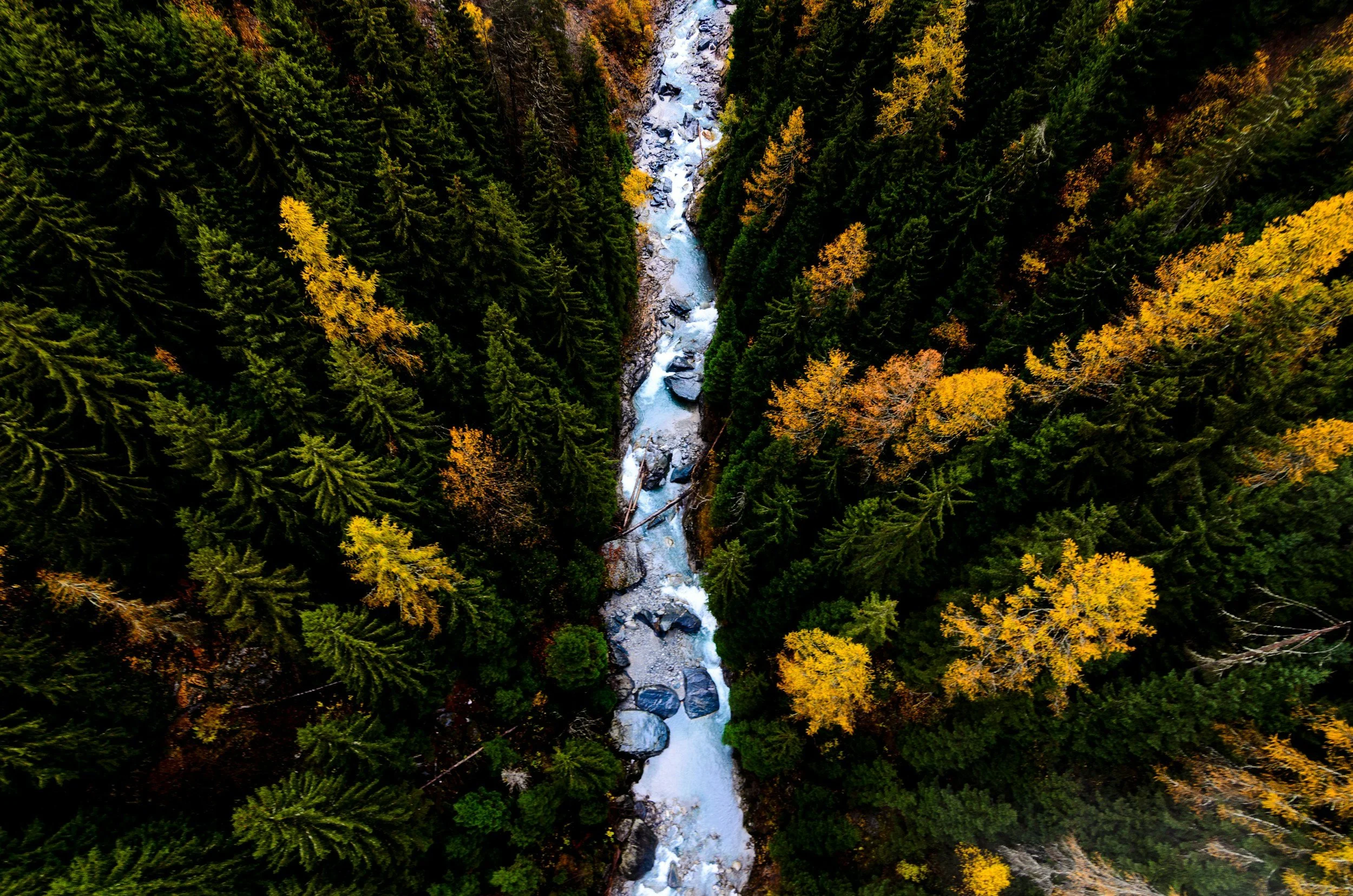 Mountain Stream