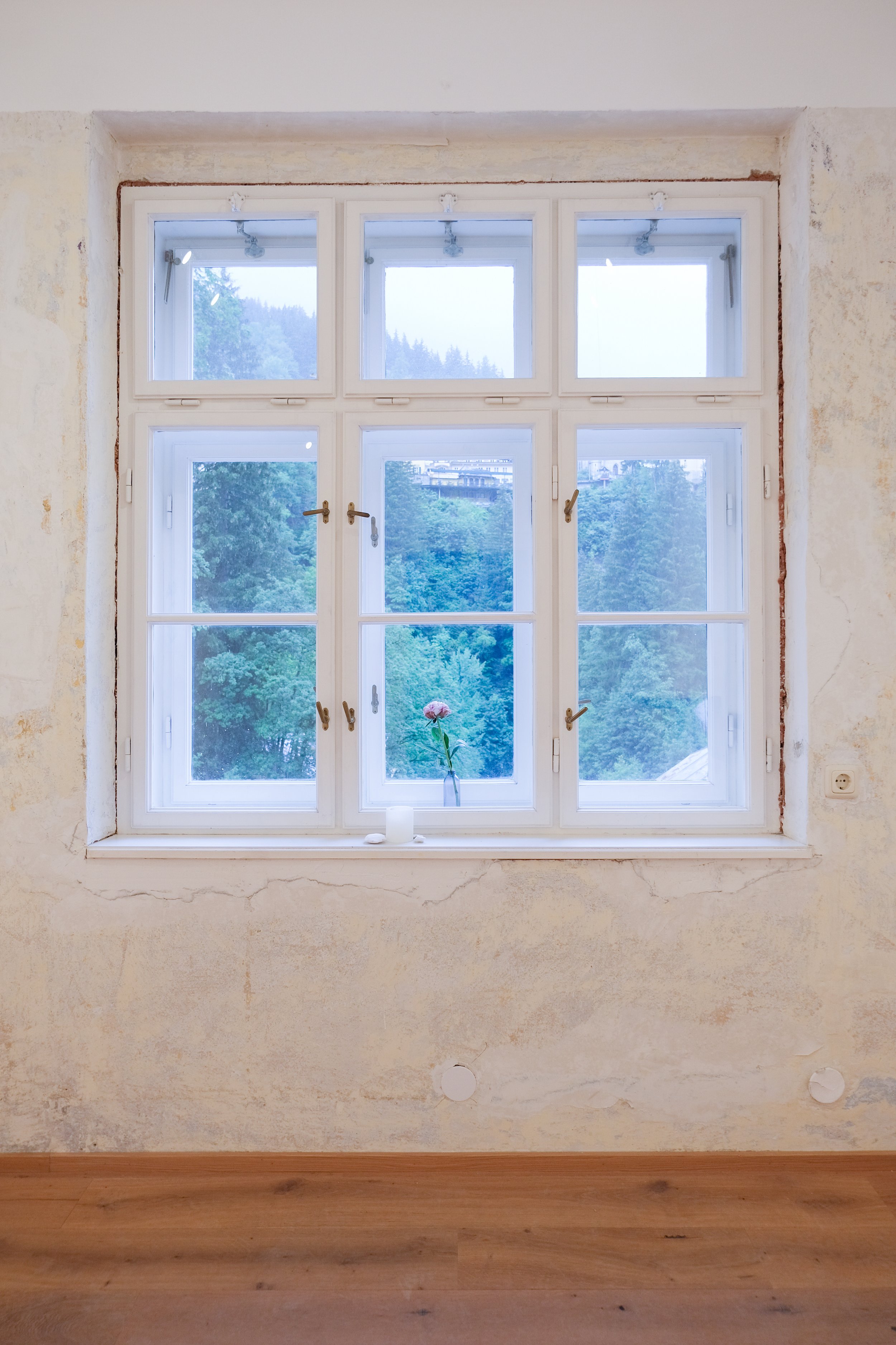 Flower, vase, window, scent. 2026