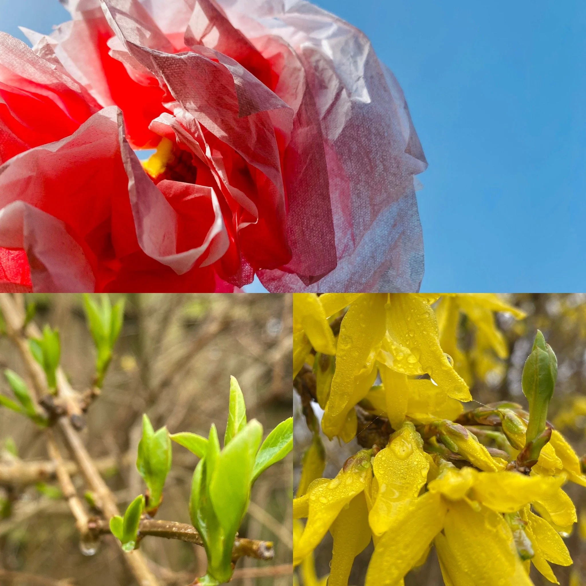 Sensory Seasons SPRING 1.jpg