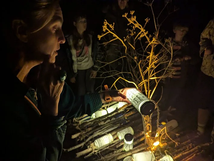 Nocturne: Nature by Night, with Briony Hartley