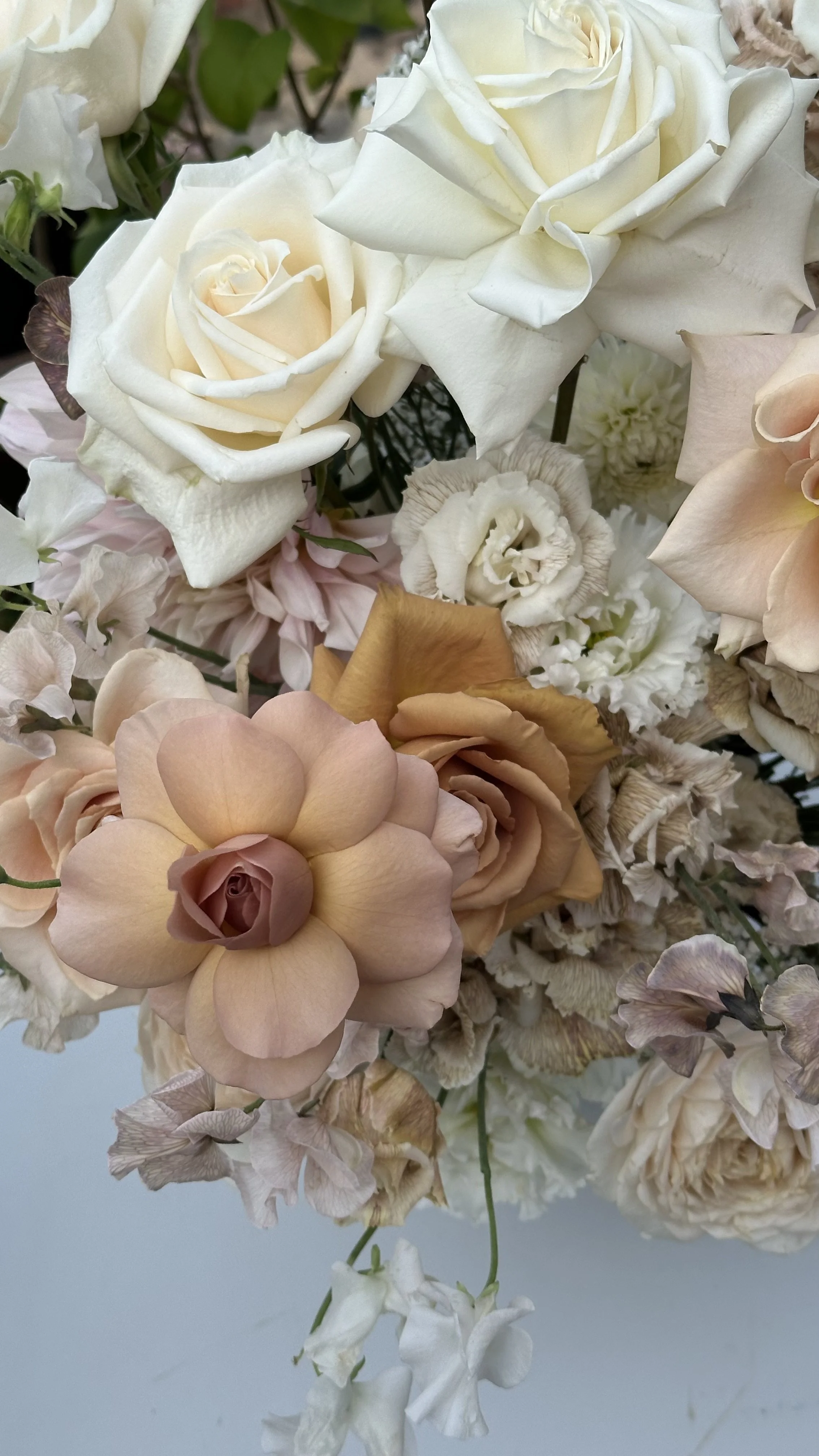 A bouquet of various cream, white, and pale pink flowers including roses and hydrangeas.