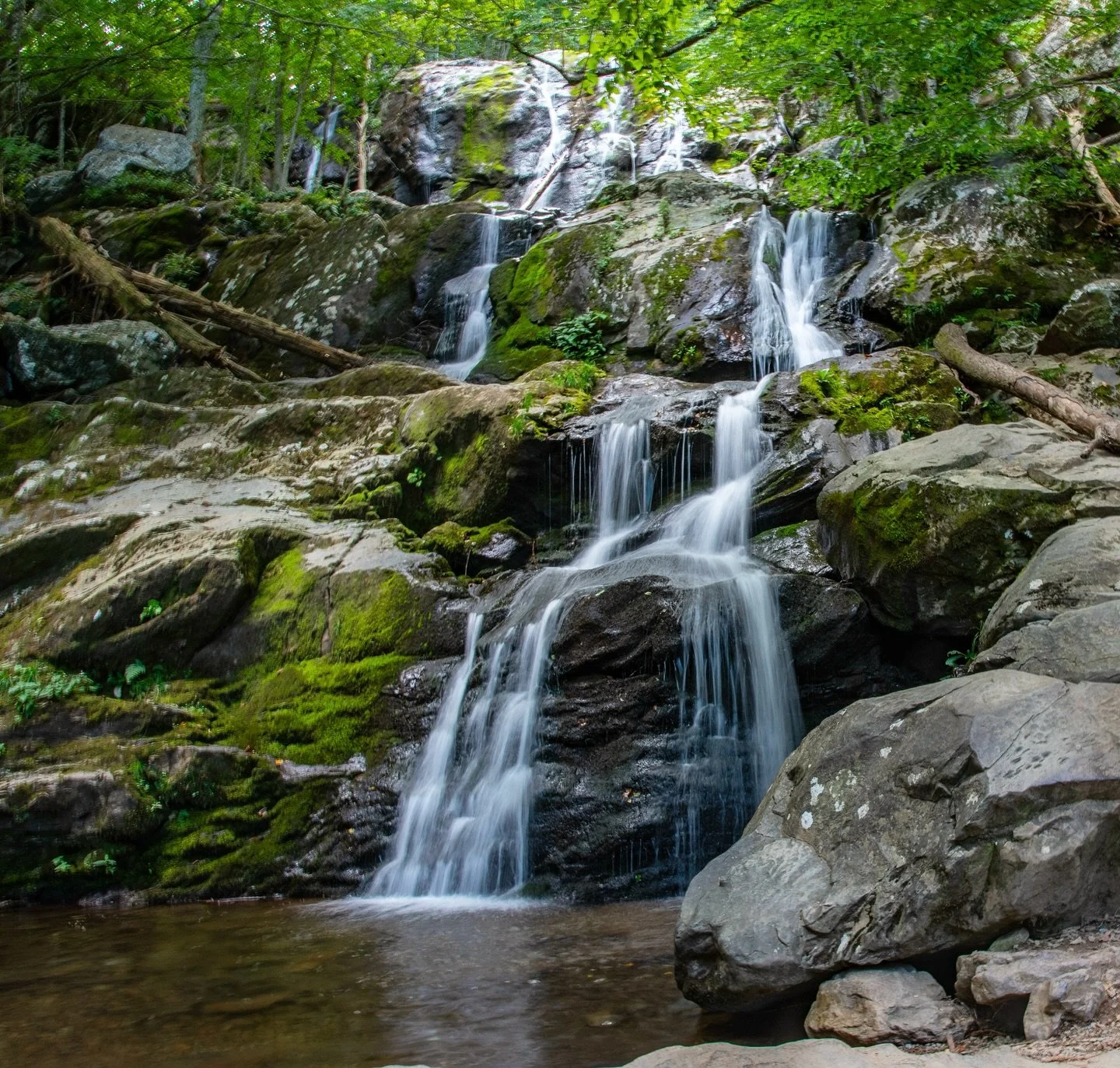 🌲We exist to inspire people to connect to and protect the wild world around them.🌲
.
Since 2018, Stick City has been creating and serving high-quality and all-natural ales &amp; lagers. We see beer as a social pathway to our vision.
.
Our mission s