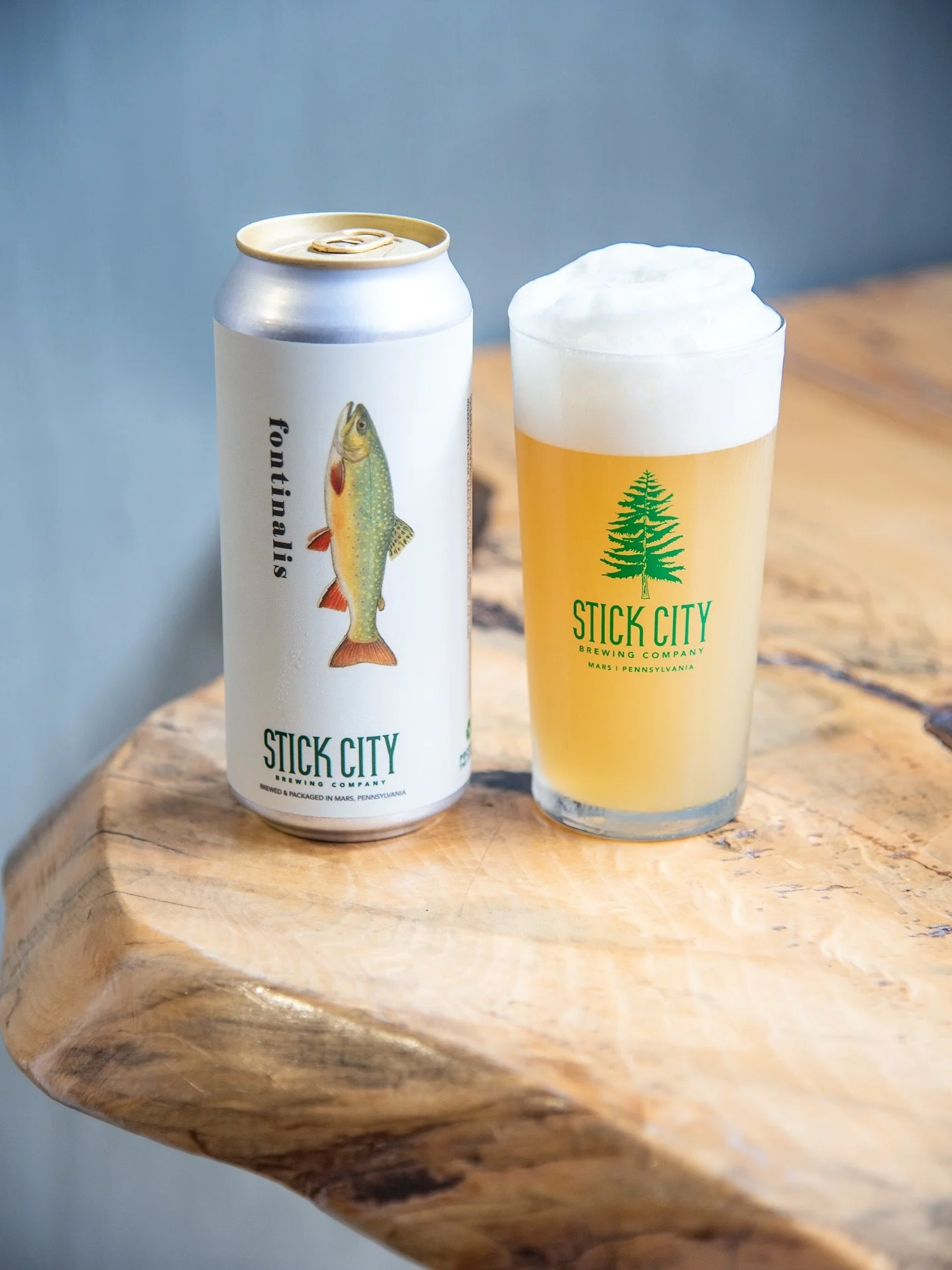 Fontinalis FRESH | Pale | 5.7% alc/vol
.
Our 3rd fresh hop beer for 2025 arrives today. Stick City&rsquo;s classic Pale Ale received a large whirlpool addition of freshly harvested Crystal hops from @hazydazehops. This beer responded so well to the s