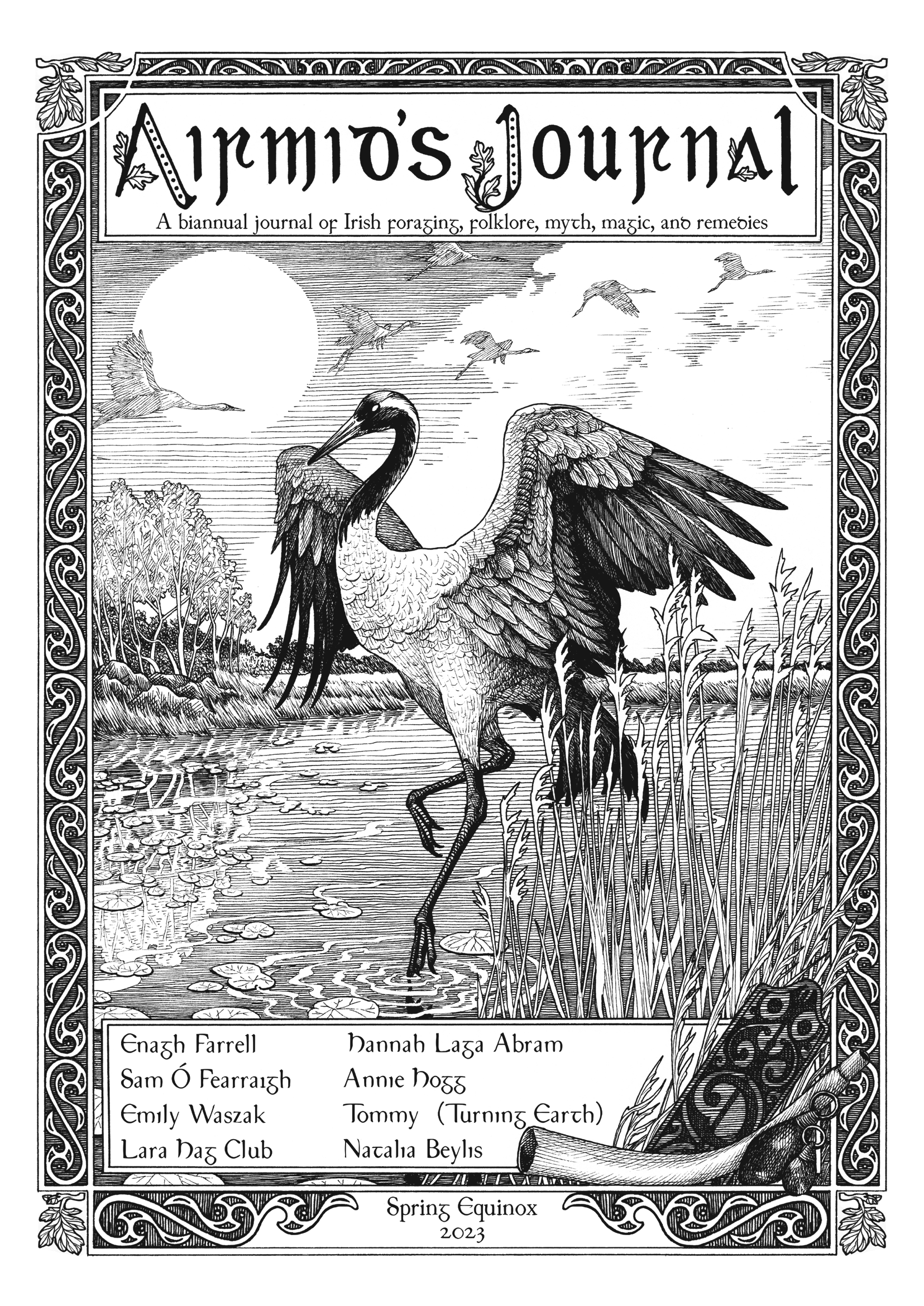 airmid spring 23 transition cover.png