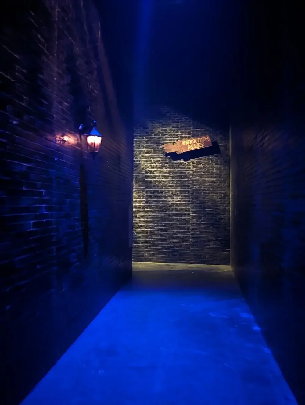 harry potter 8.webp