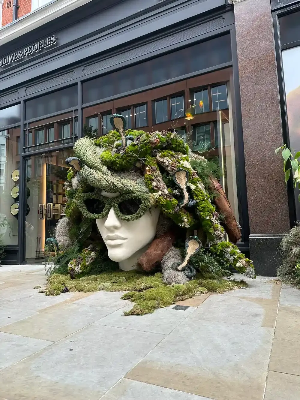 Meduza head 1.webp