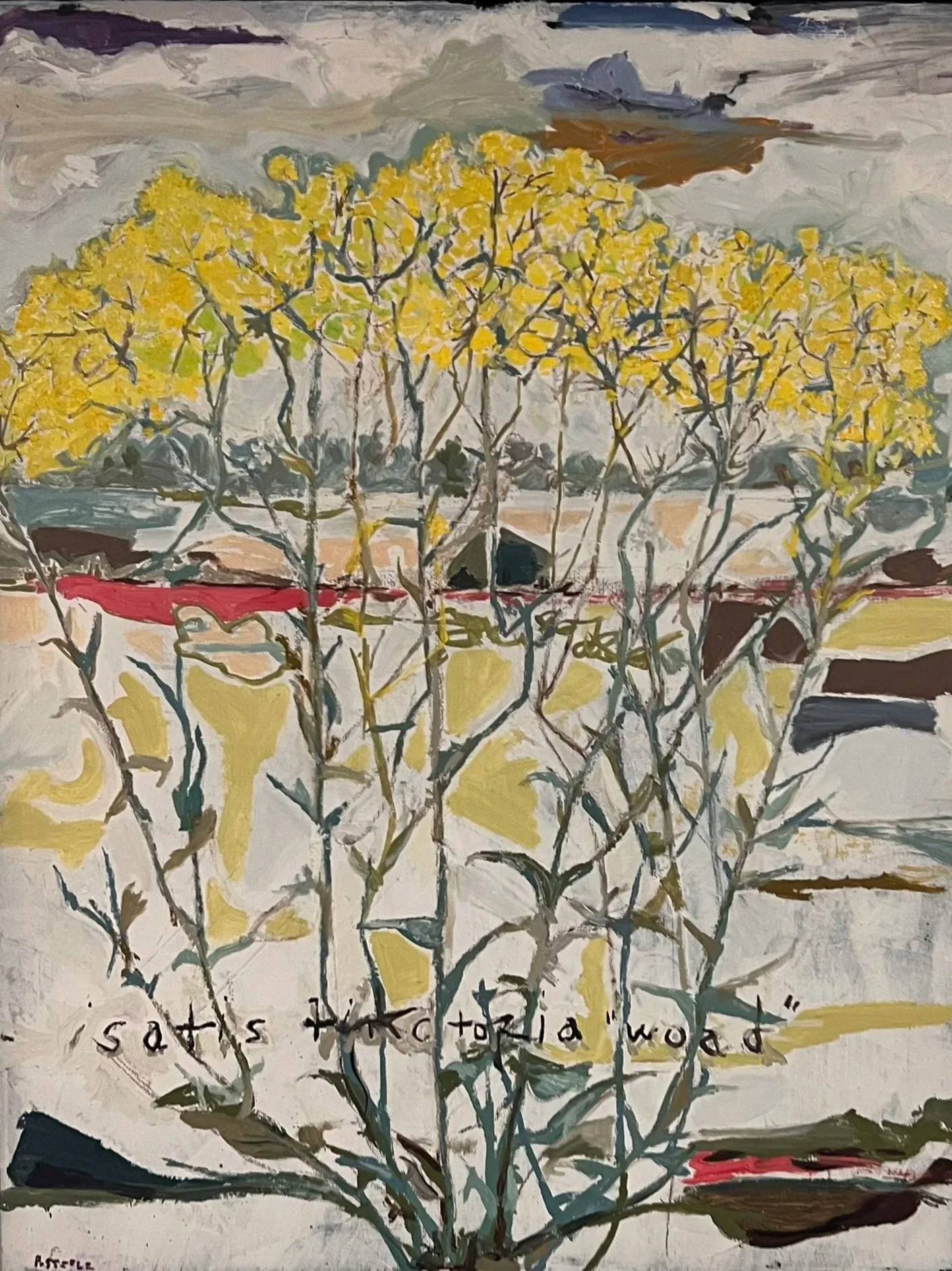 Patrick Steele - Isatis tinctoria