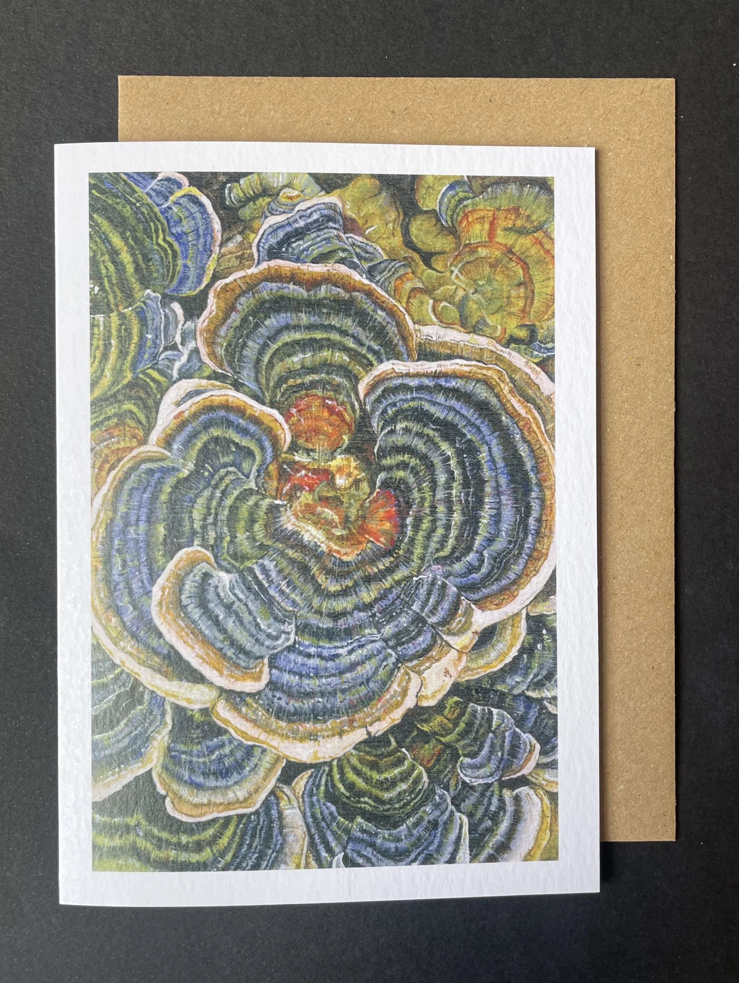 Mushroom Cards - Pack of 3
