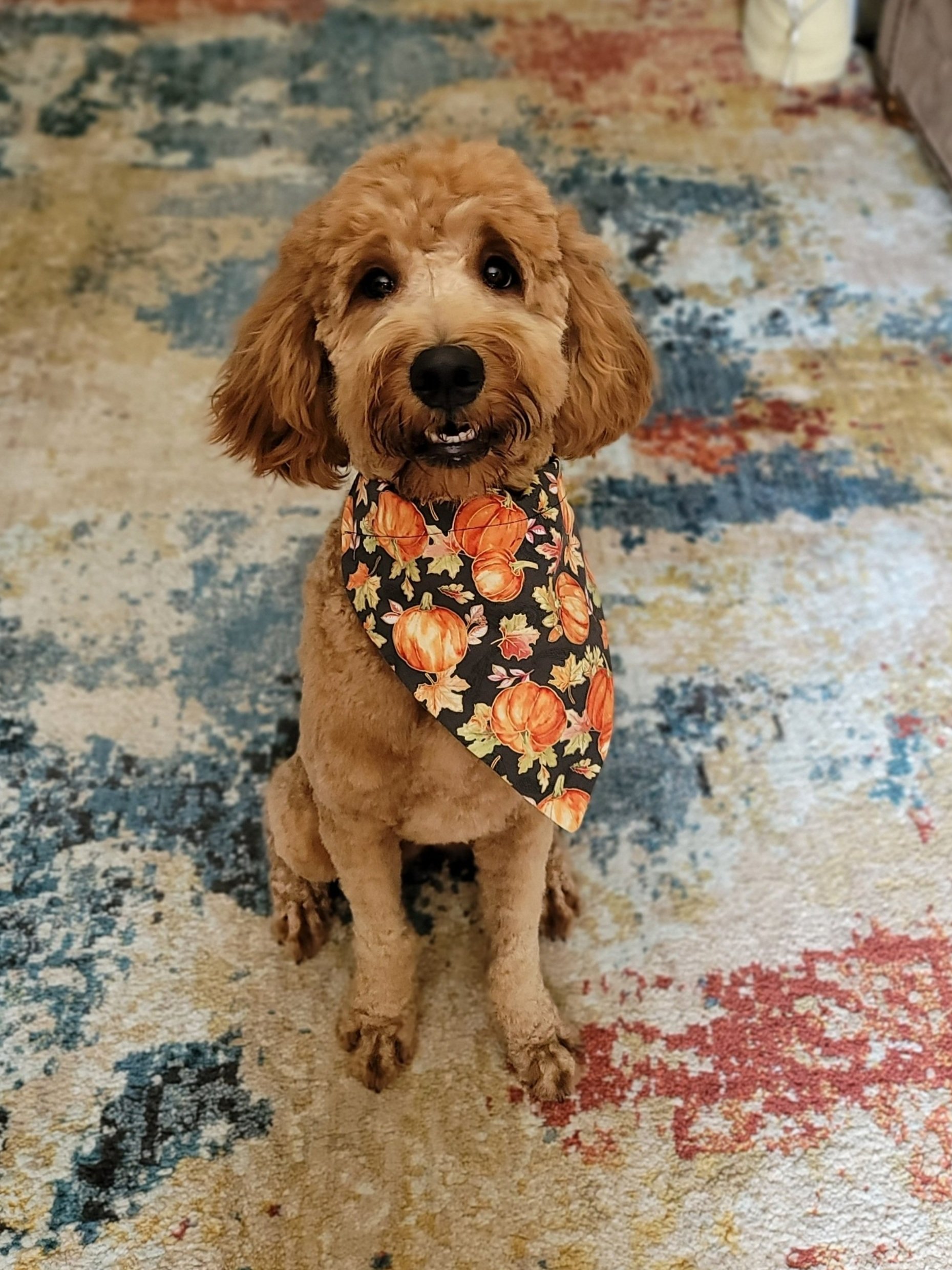One Year Picture
