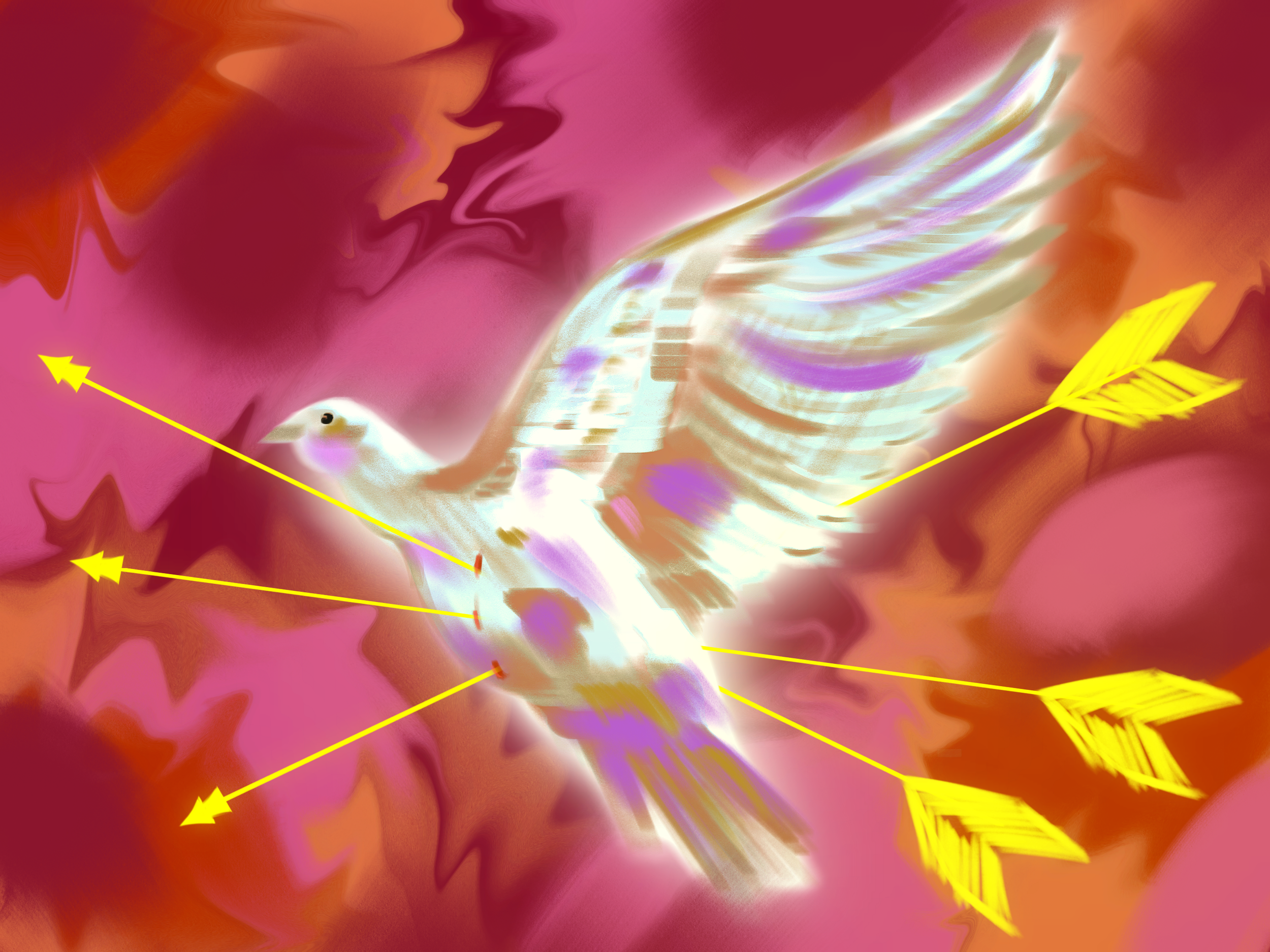 IMG_2269.PNG