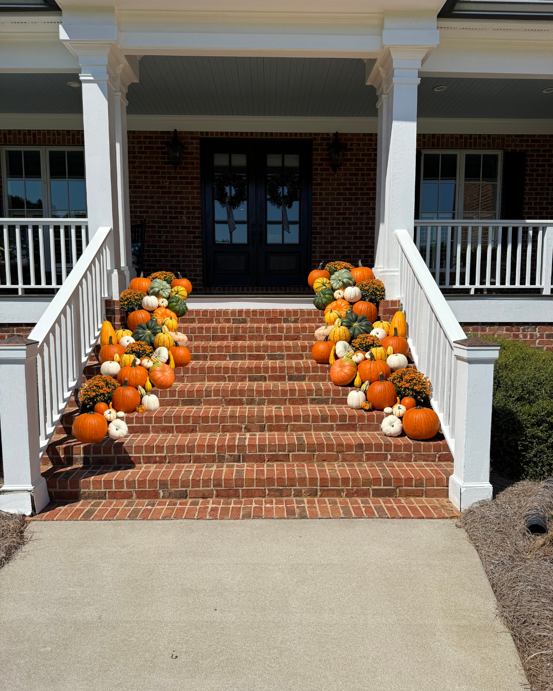 pumpkin.png