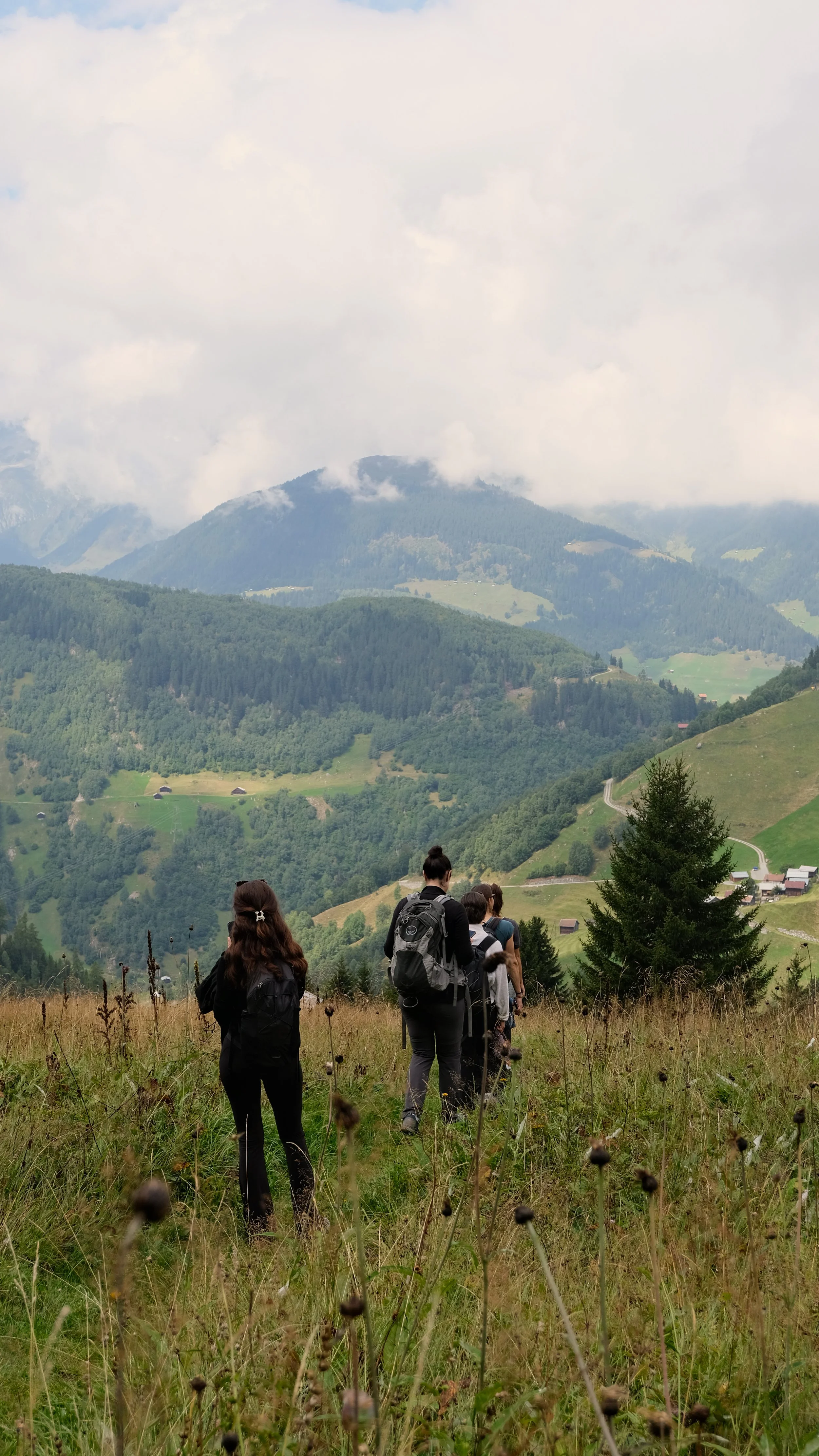 Keola_Retreat_Wanderung15.jpg
