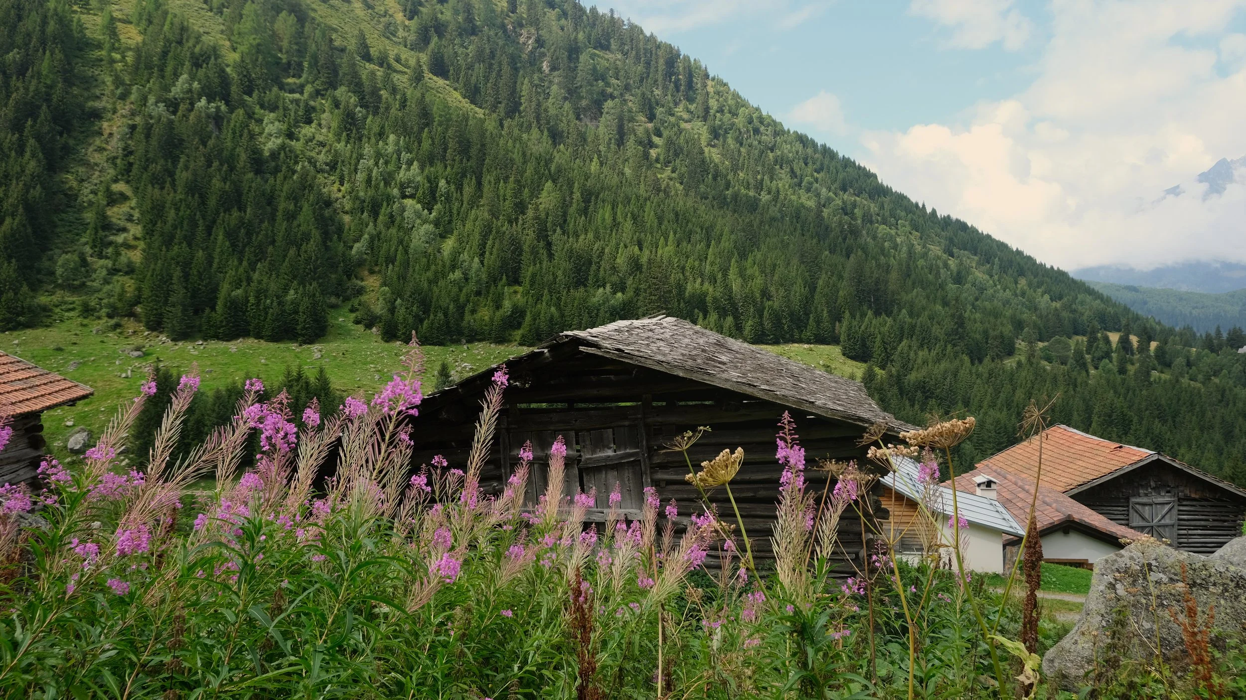 Keola_Retreat_Wanderung7.jpg