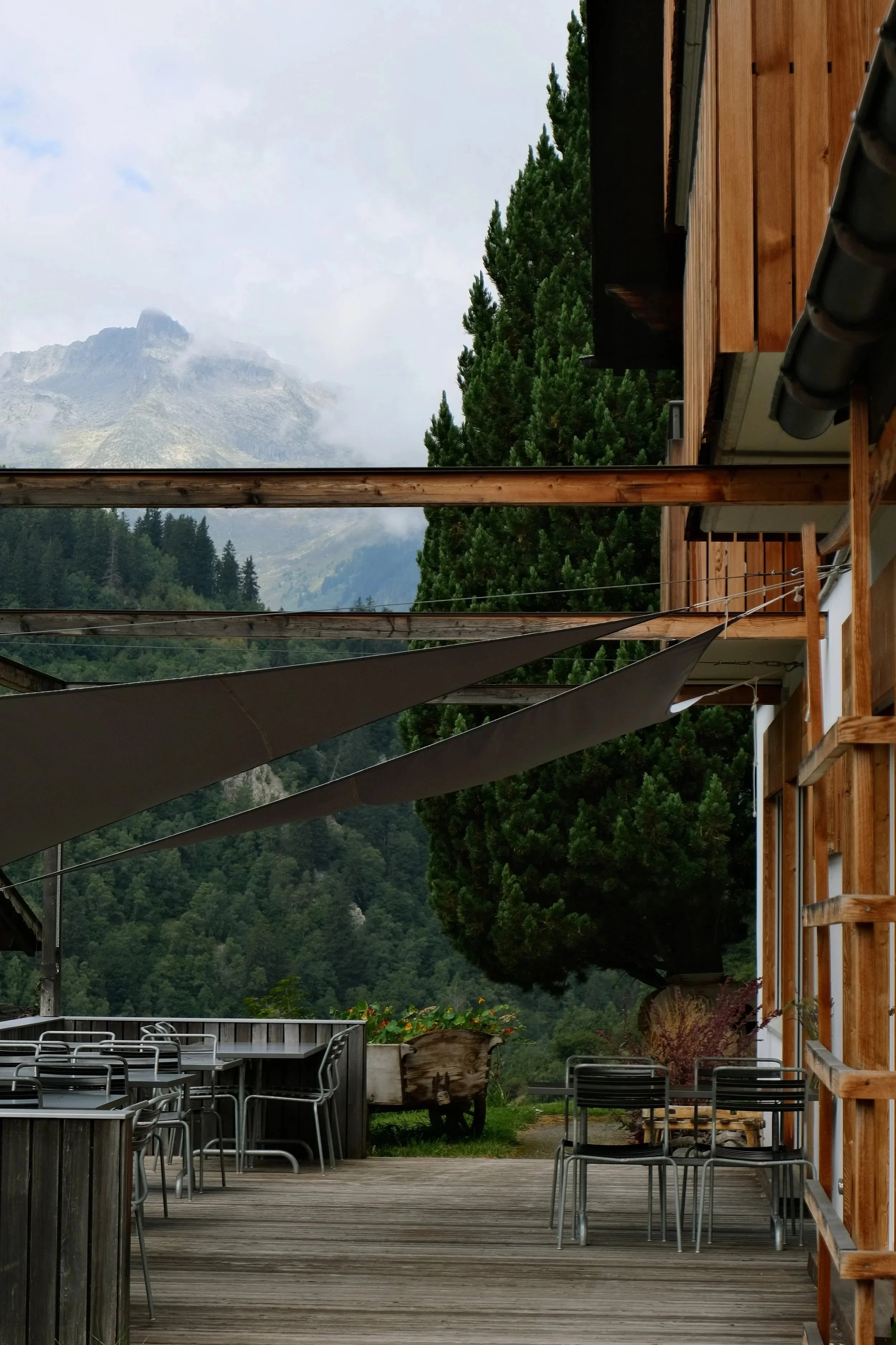 Blick auf einen Berg im Nebel, Blick von einer Terrasse mit Stühlen und Tischen, Holzverkleidung, große Tannenbäume, dekorative Blumen, im Frühjahr oder Sommer.