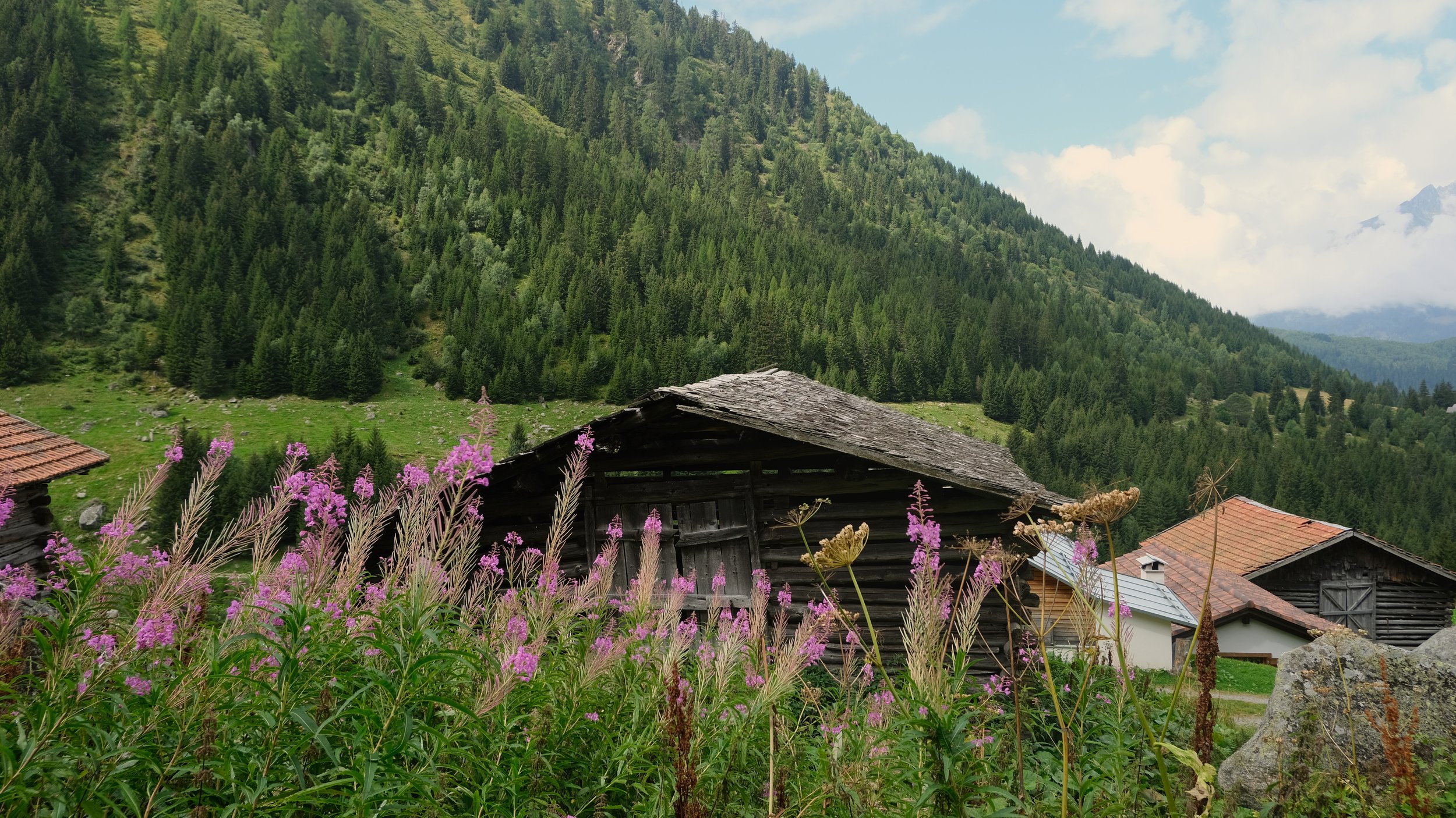 Keola_Retreat_Wanderung7.jpg