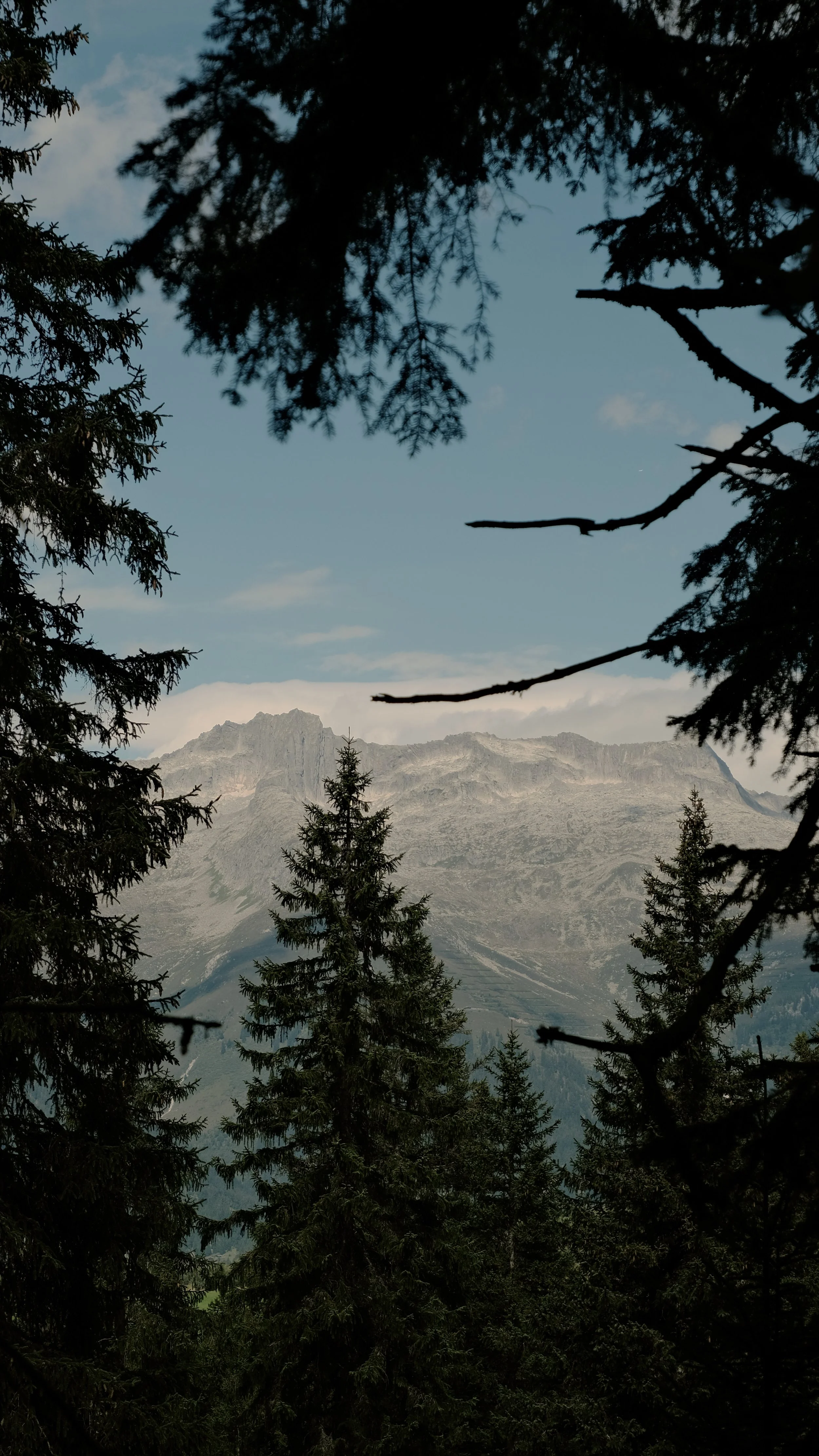 Keola_Retreat_Wanderung3_Tag3.jpg