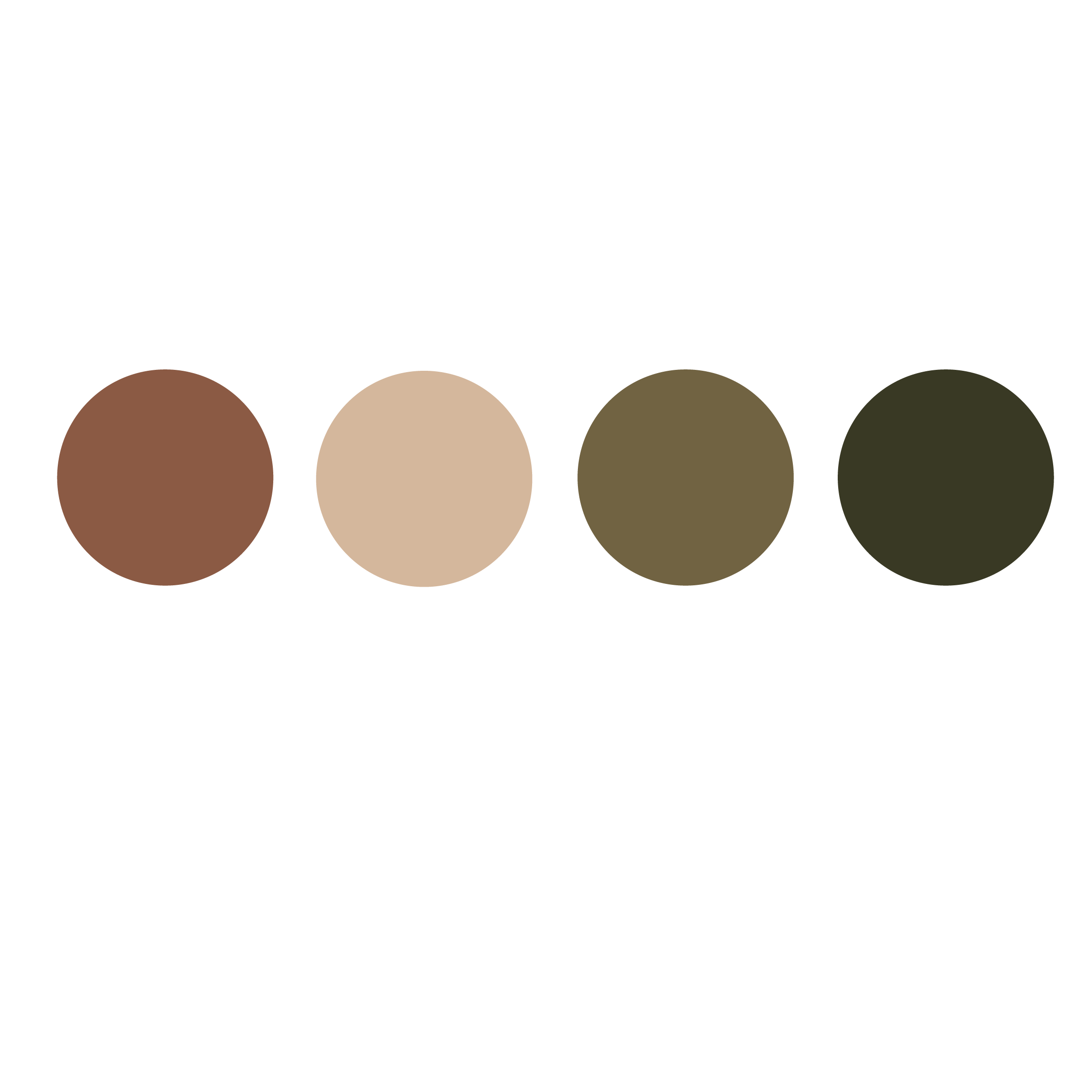 Vier farbige Kreise: braun, beige, olivgrün und dunkelgrün, nebeneinander auf schwarzem Hintergrund.