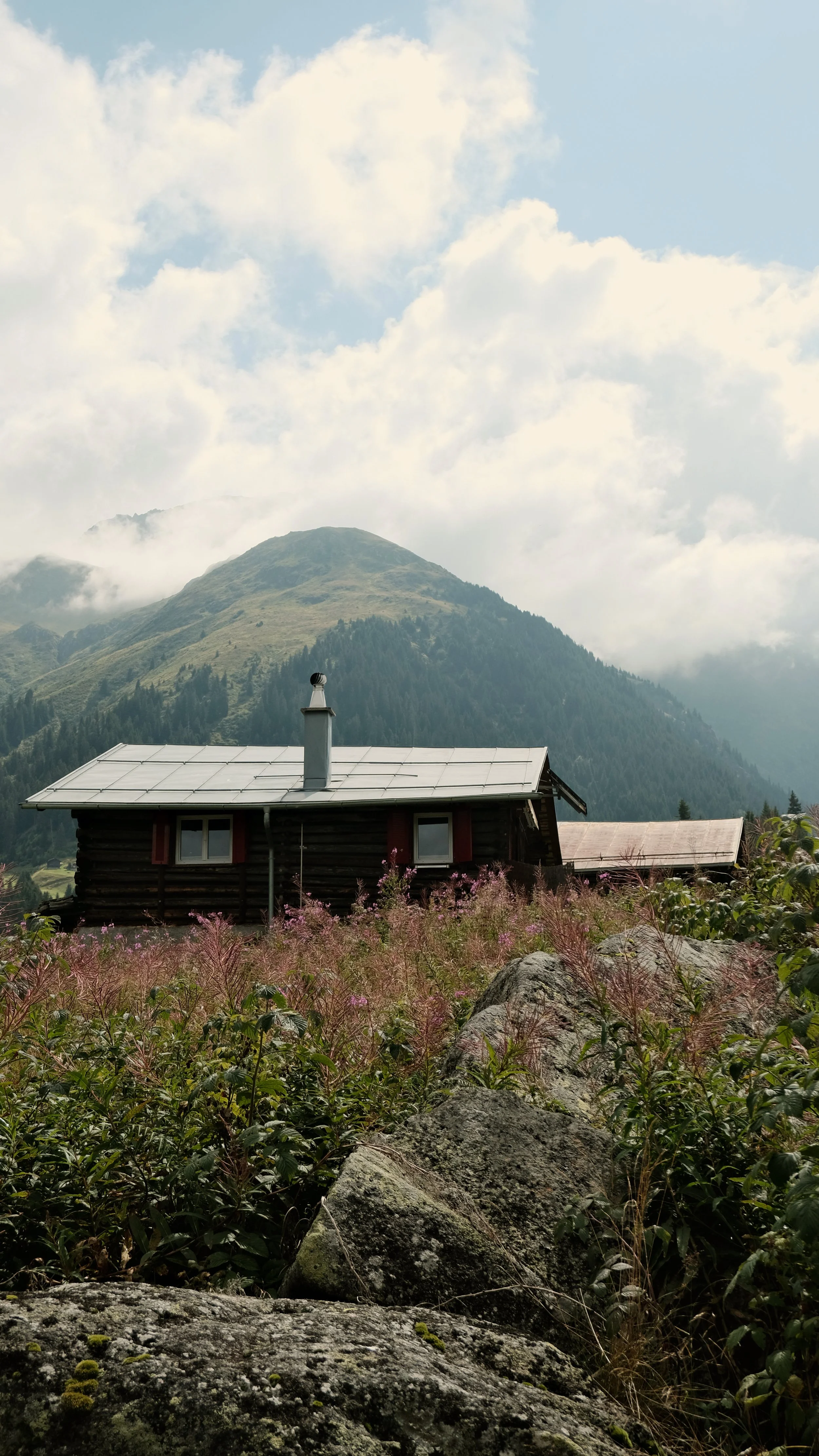 Keola_Retreat_Wanderung3.jpg